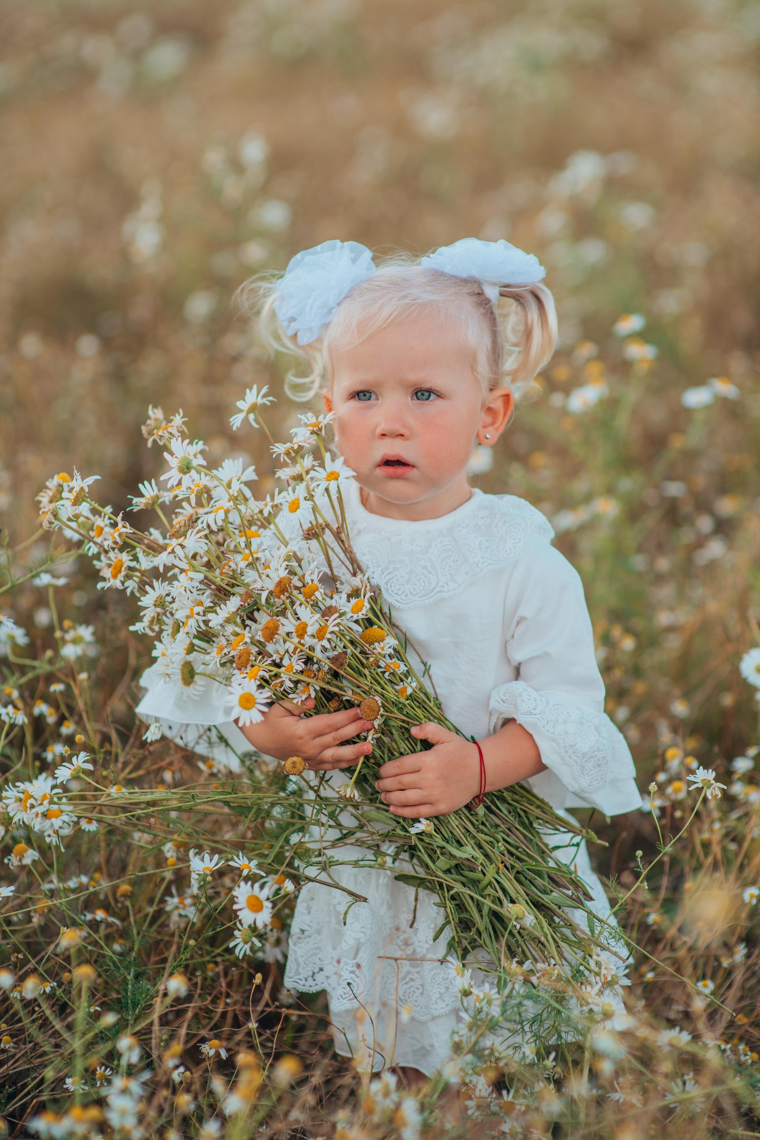 Ромашки. Фотограф Алла Елисеева