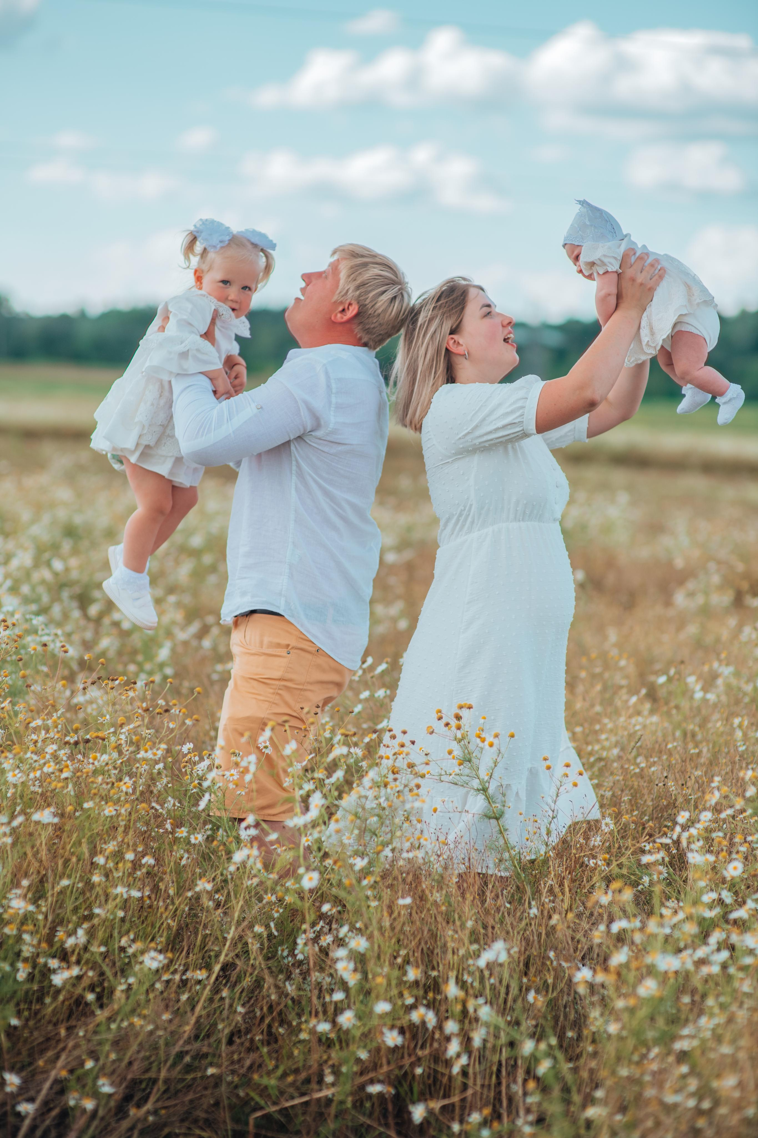 Ромашки. Фотограф Алла Елисеева