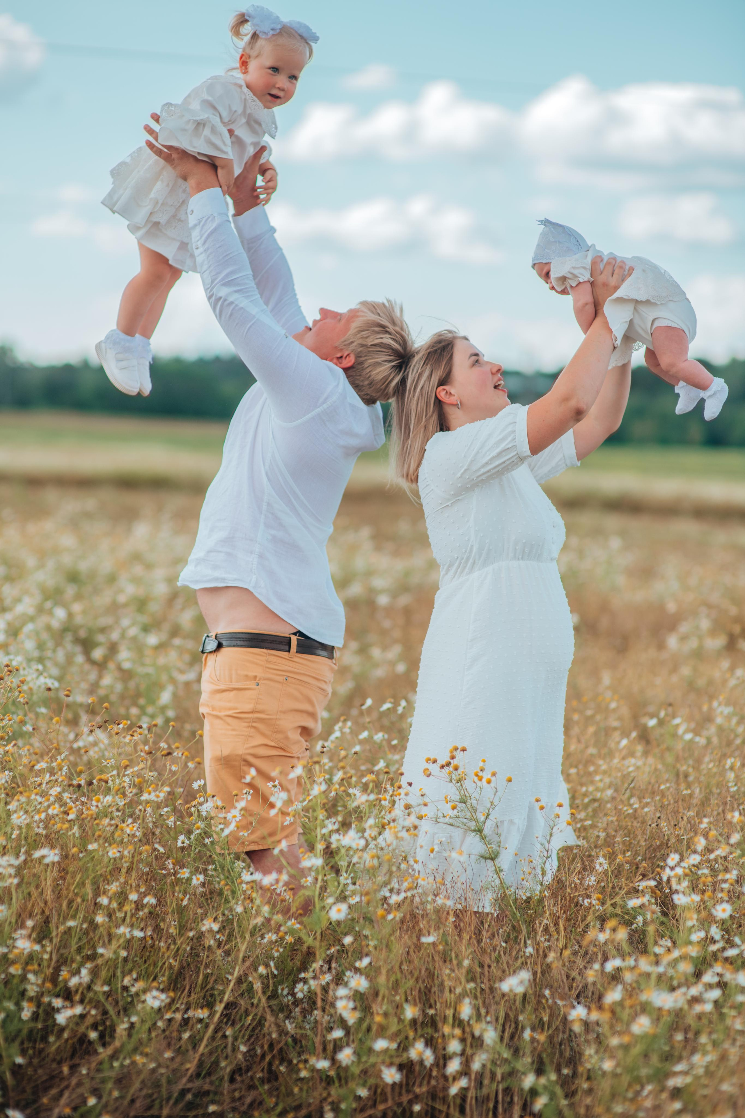 Ромашки. Фотограф Алла Елисеева