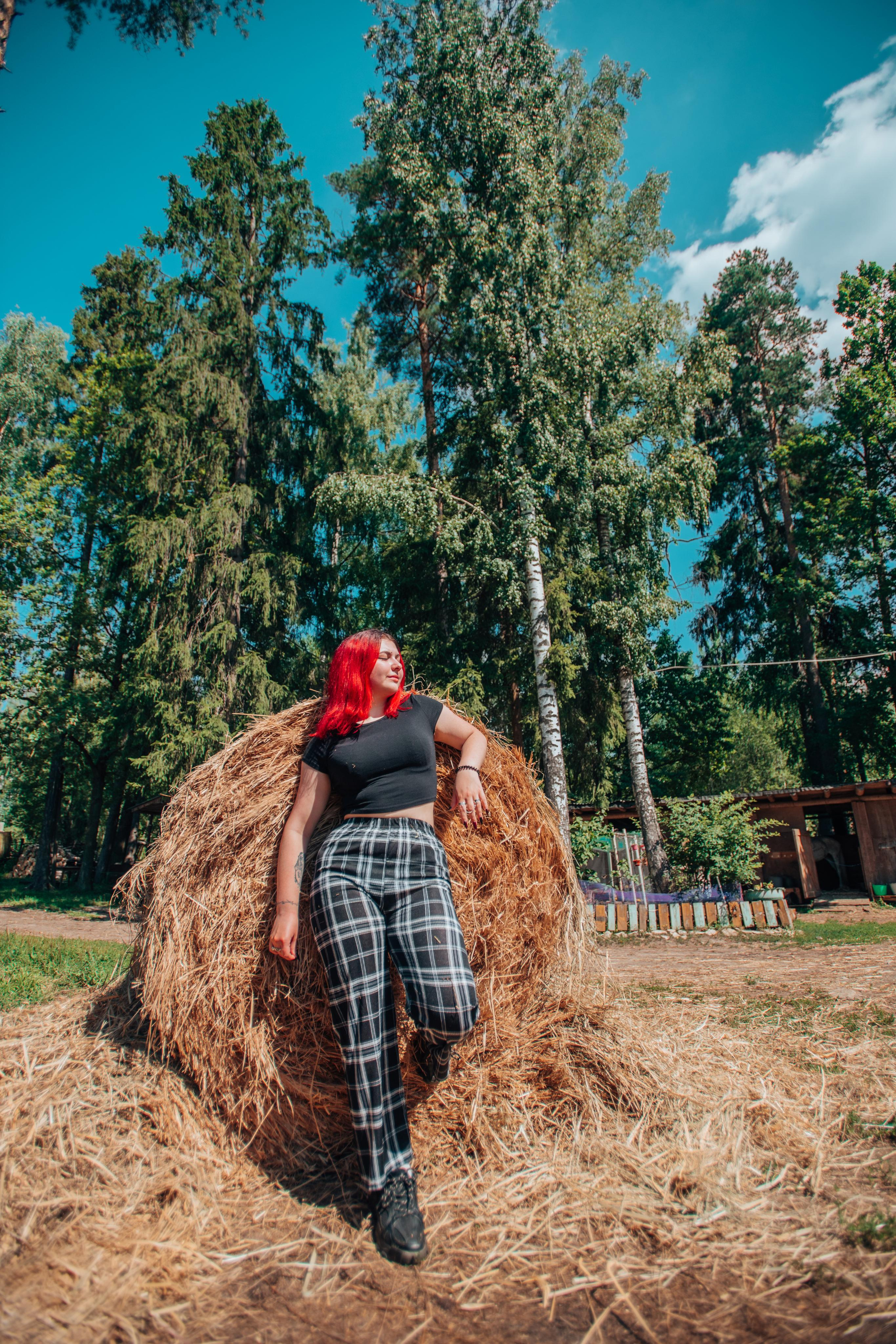 Лошадка. Фотограф Алла Елисеева