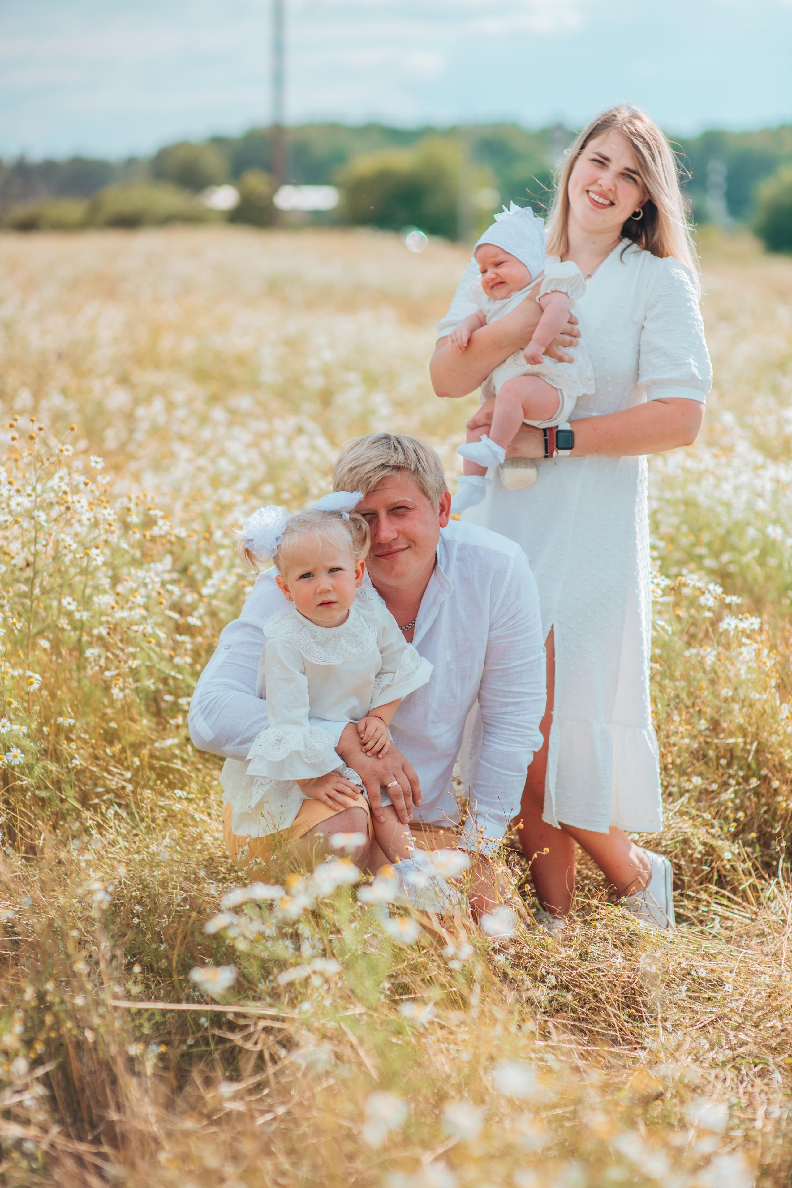 Ромашки. Фотограф Алла Елисеева