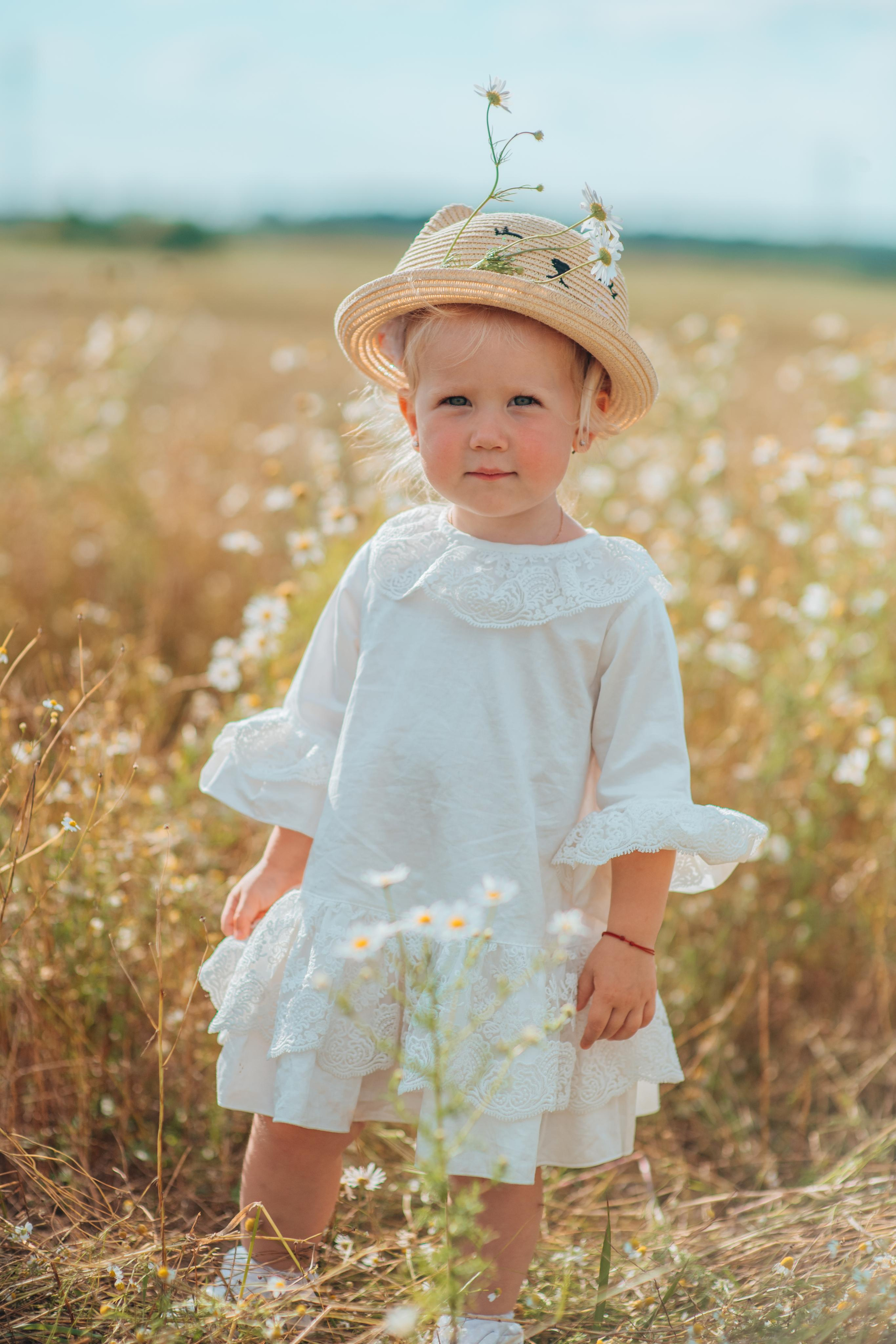 Ромашки. Фотограф Алла Елисеева