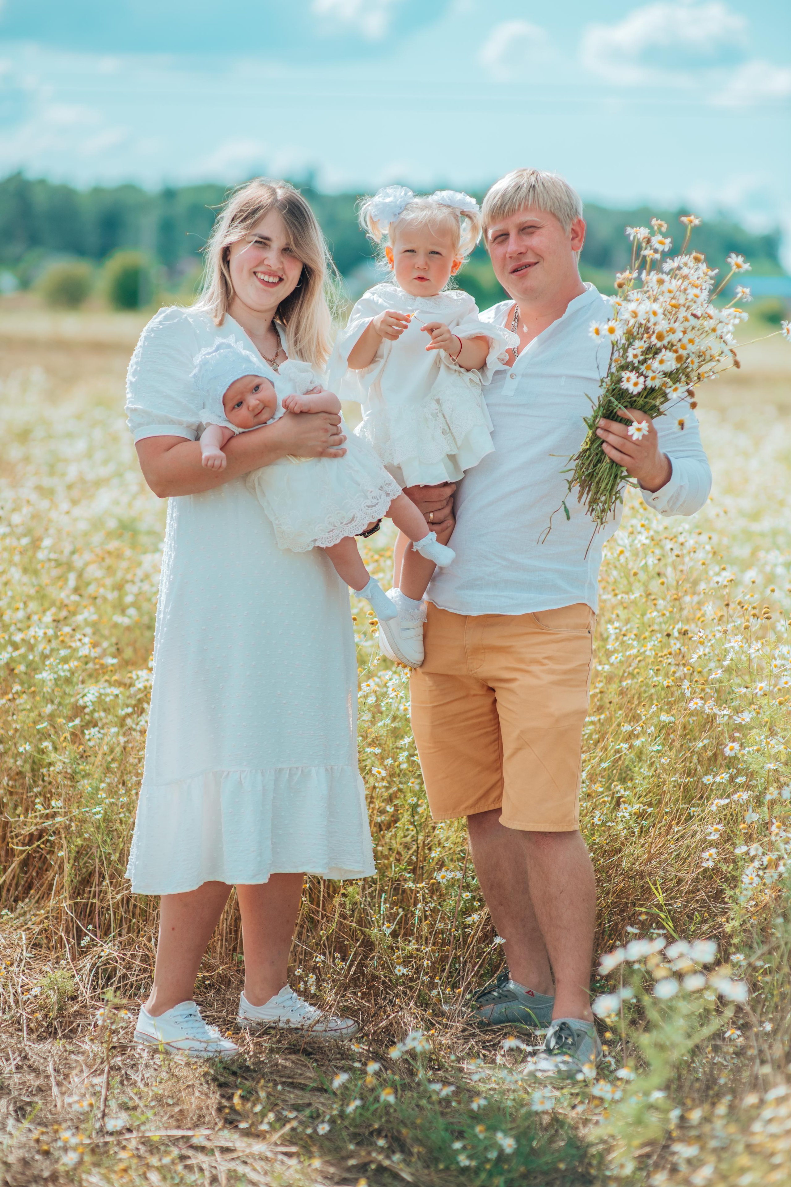 Ромашки. Фотограф Алла Елисеева