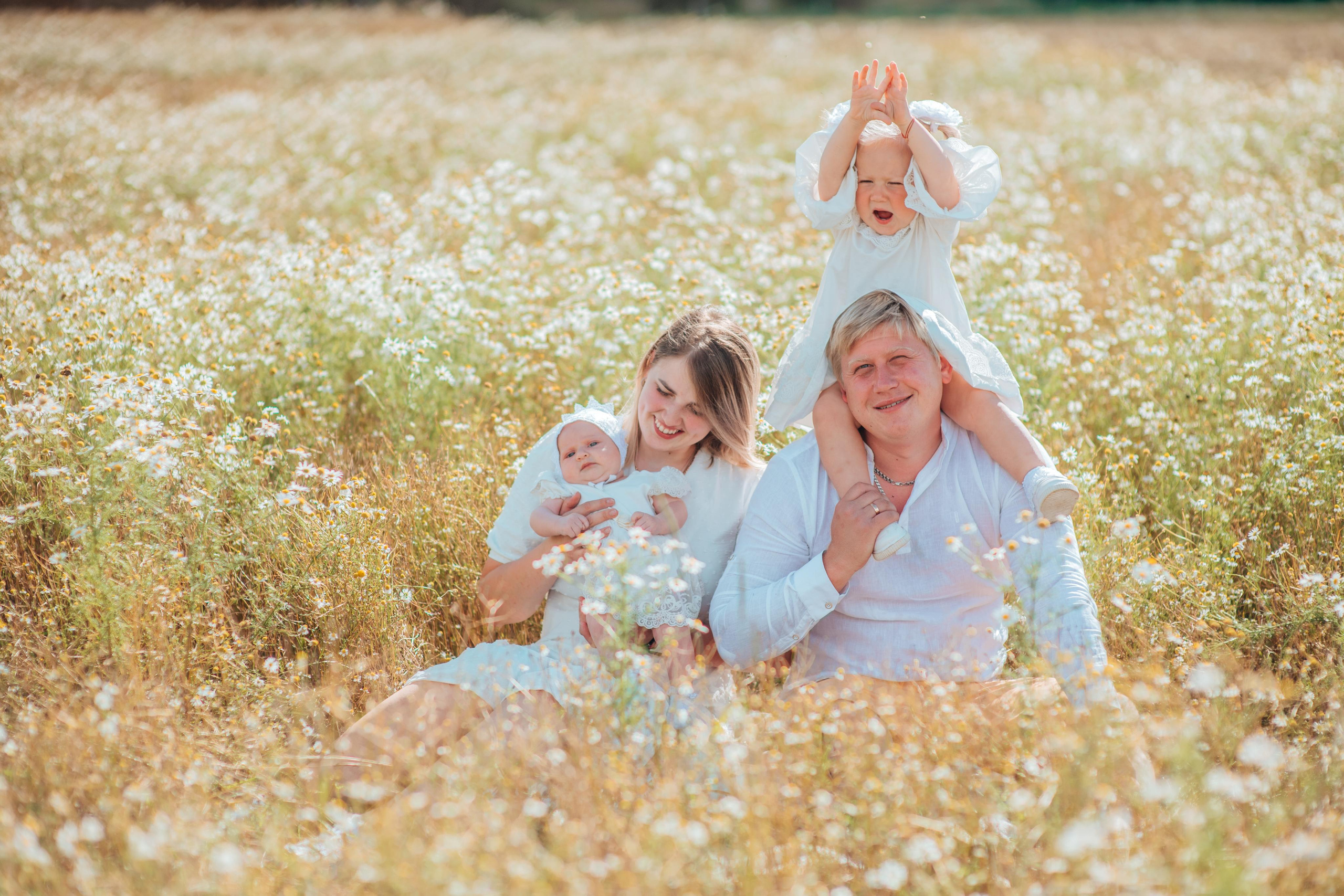 Ромашки. Фотограф Алла Елисеева