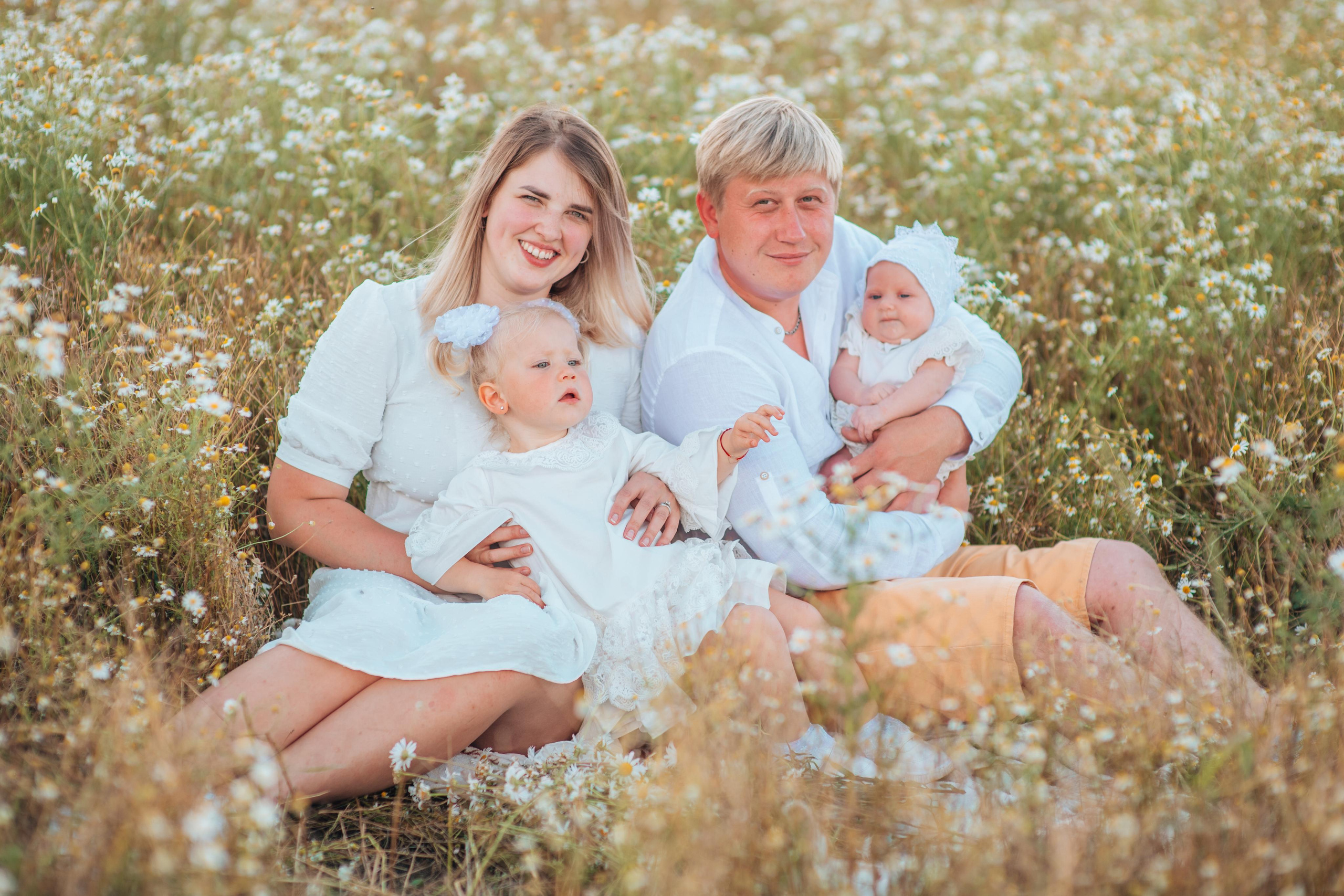 Ромашки. Фотограф Алла Елисеева