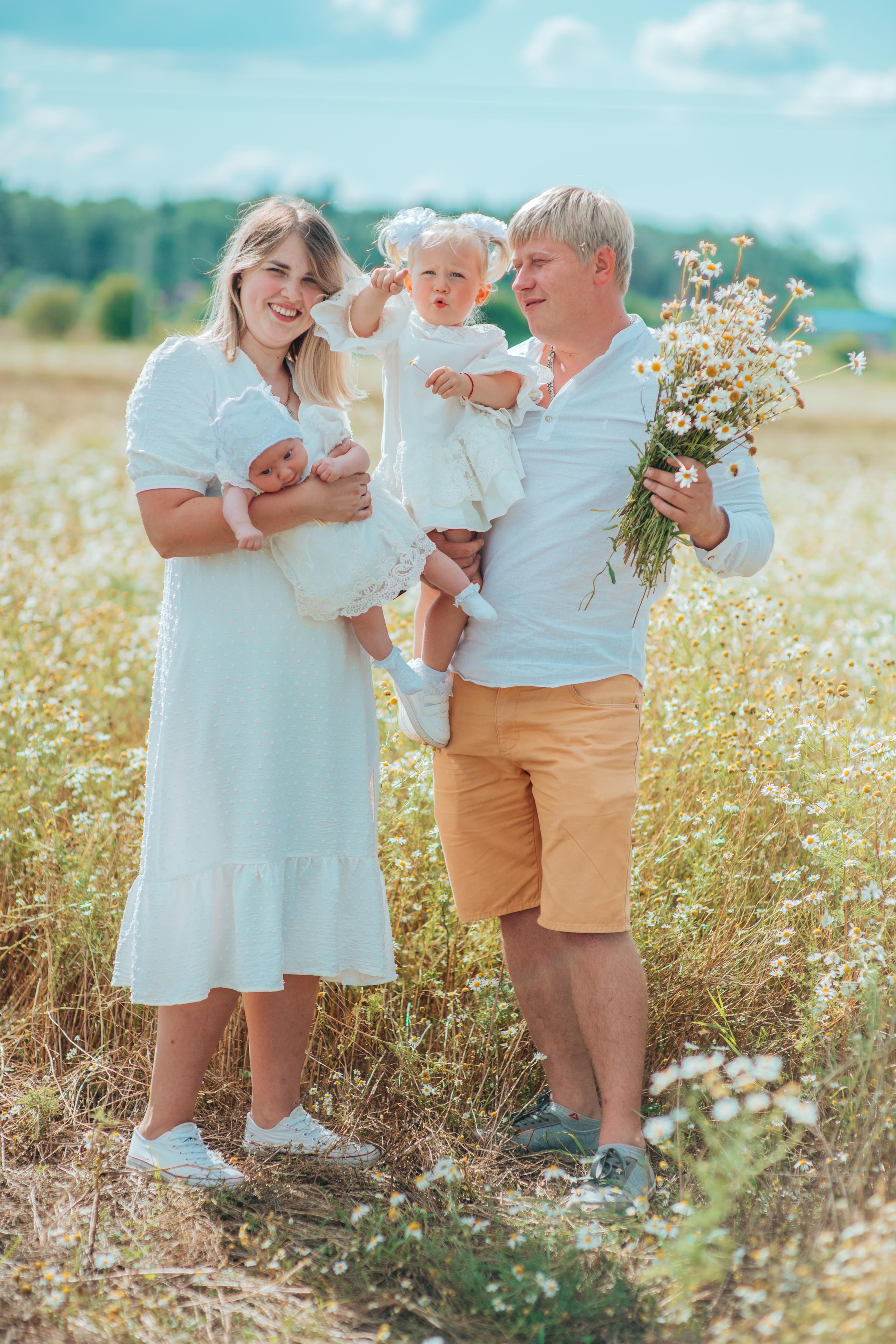 Ромашки. Фотограф Алла Елисеева