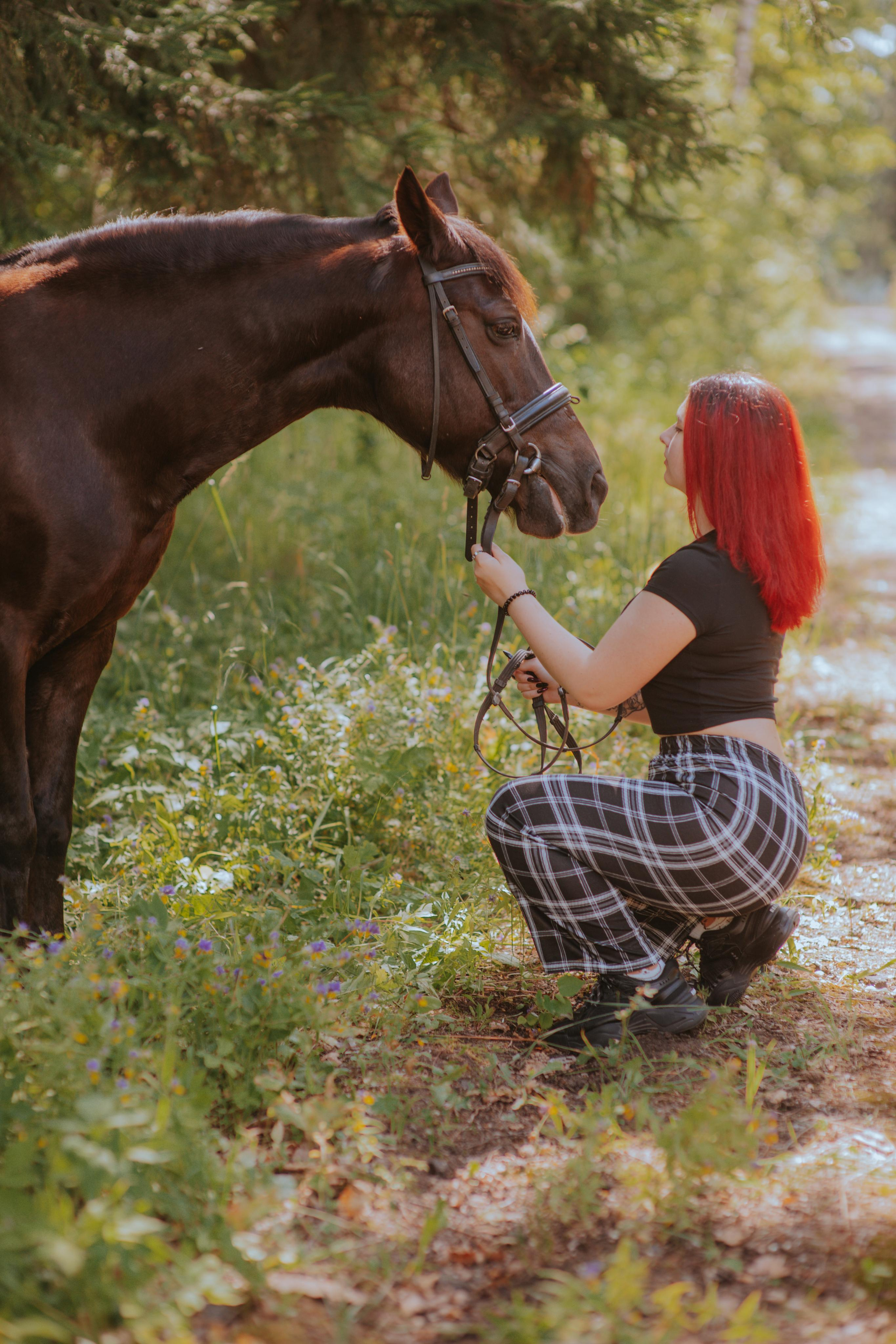 Лошадка. Фотограф Алла Елисеева