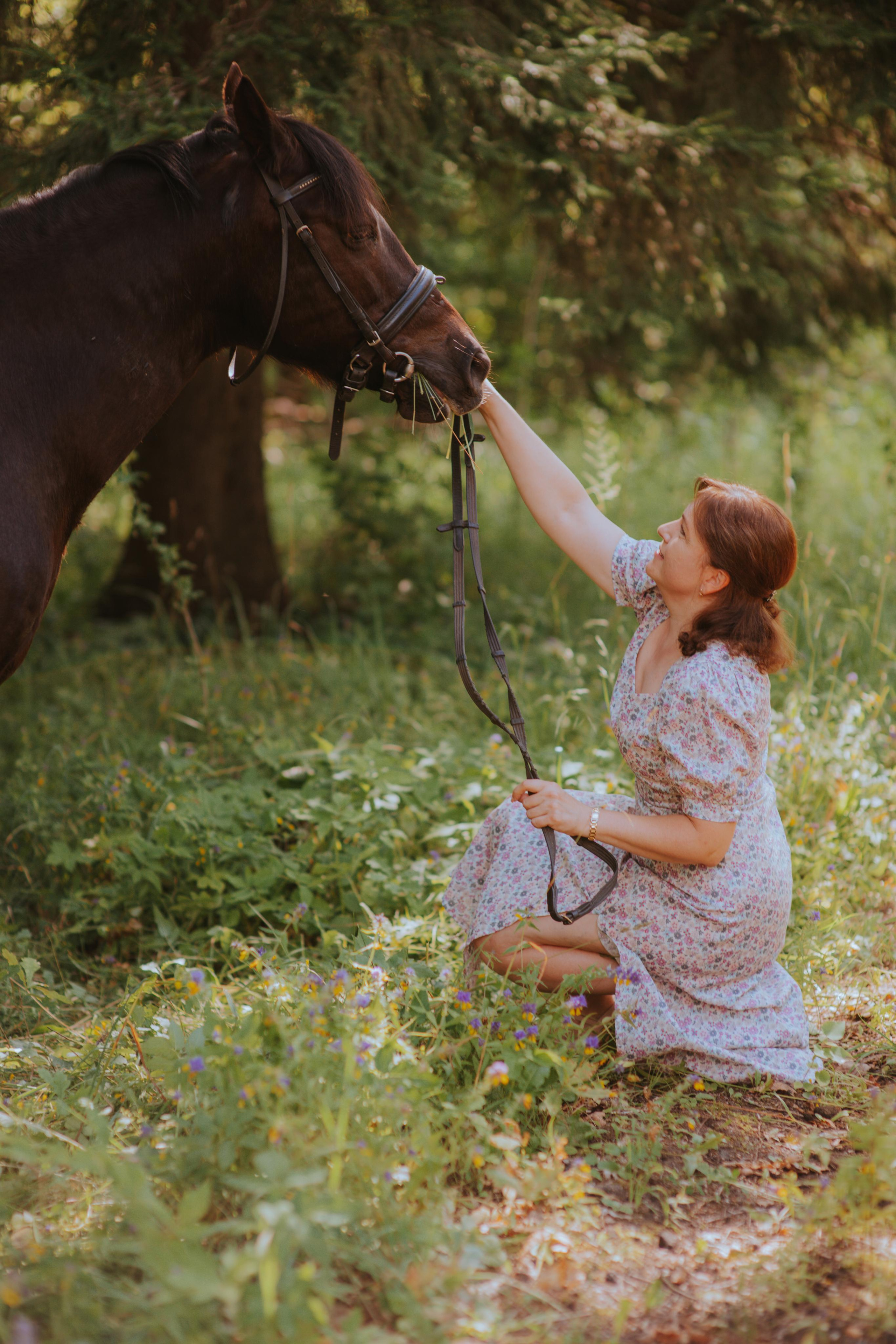 Лошадка. Фотограф Алла Елисеева