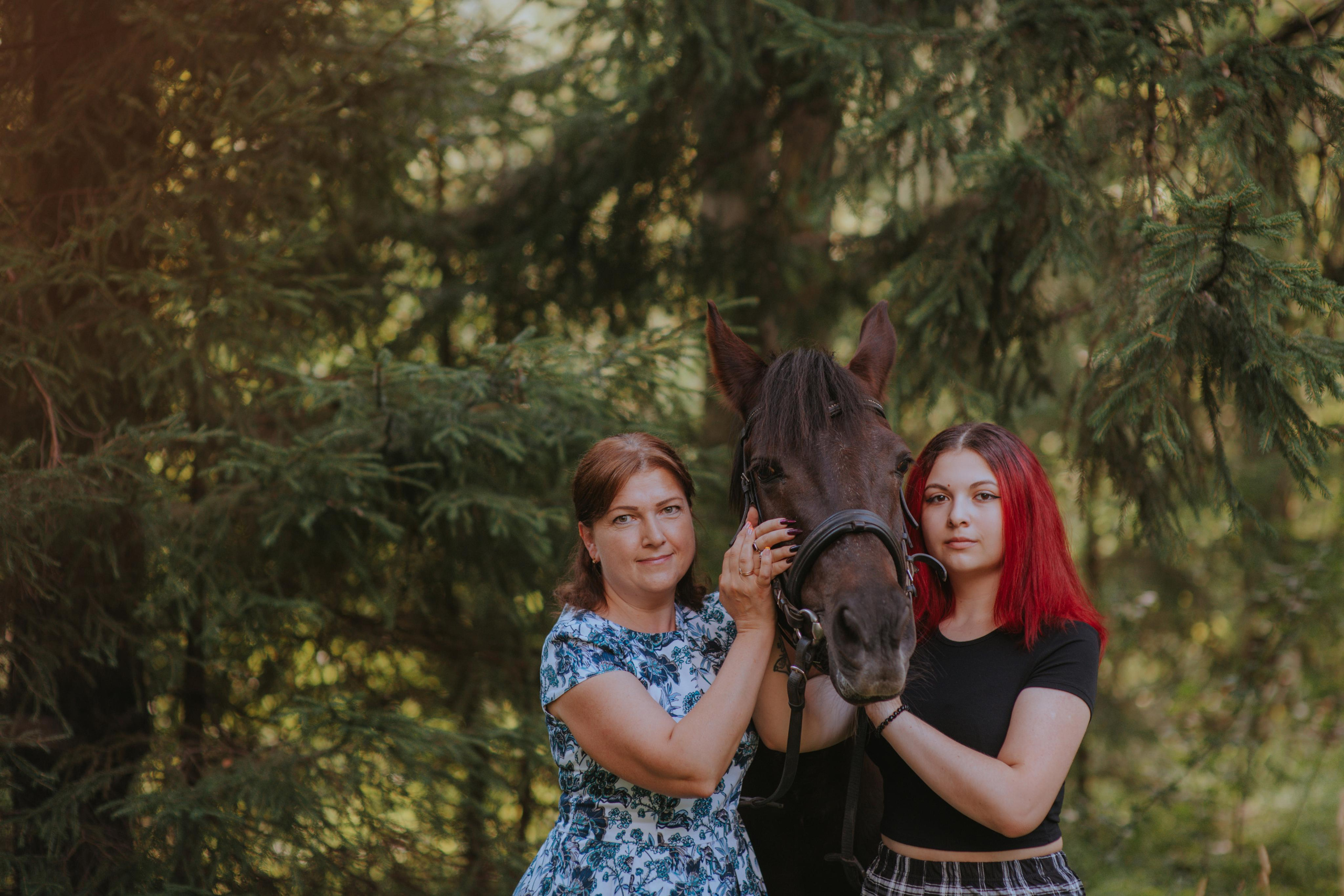 Лошадка. Фотограф Алла Елисеева