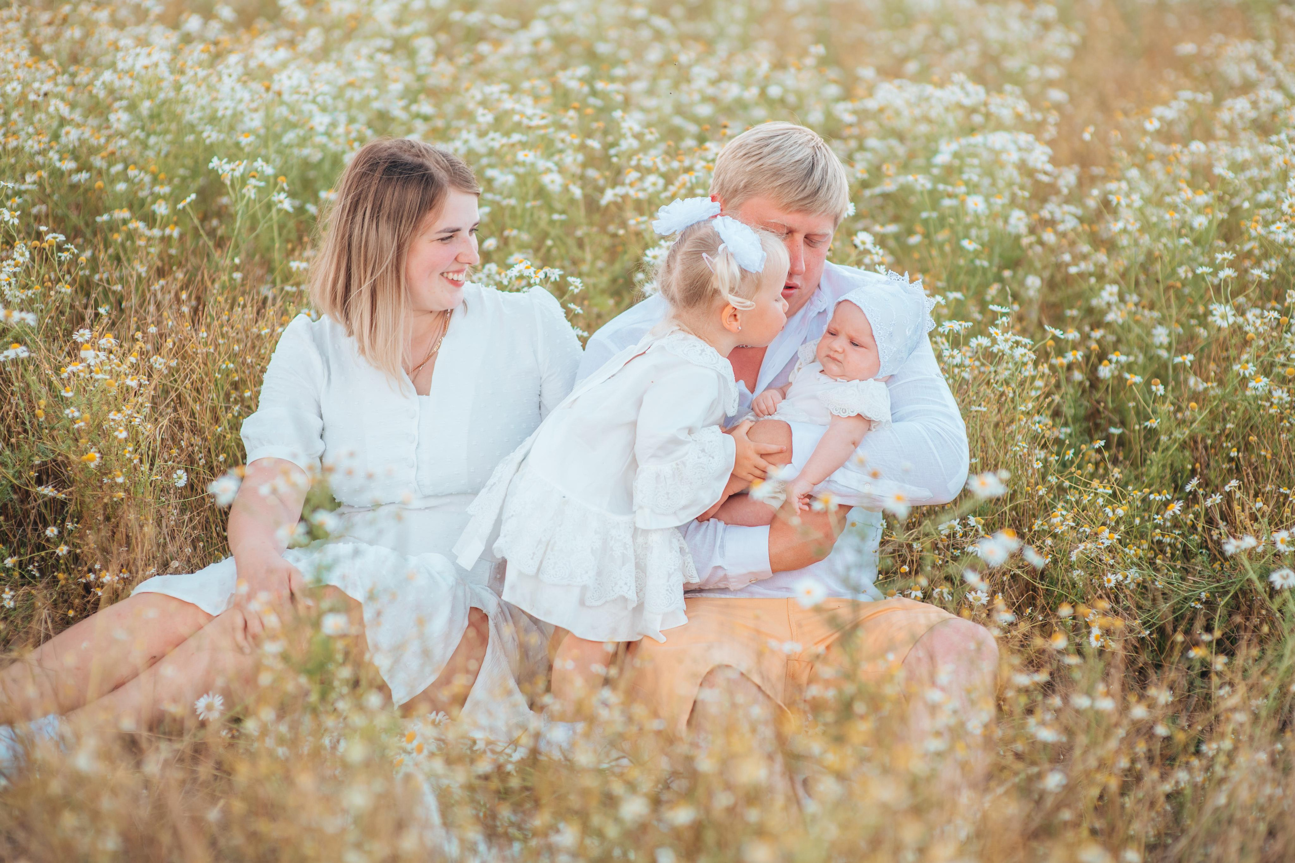 Ромашки. Фотограф Алла Елисеева