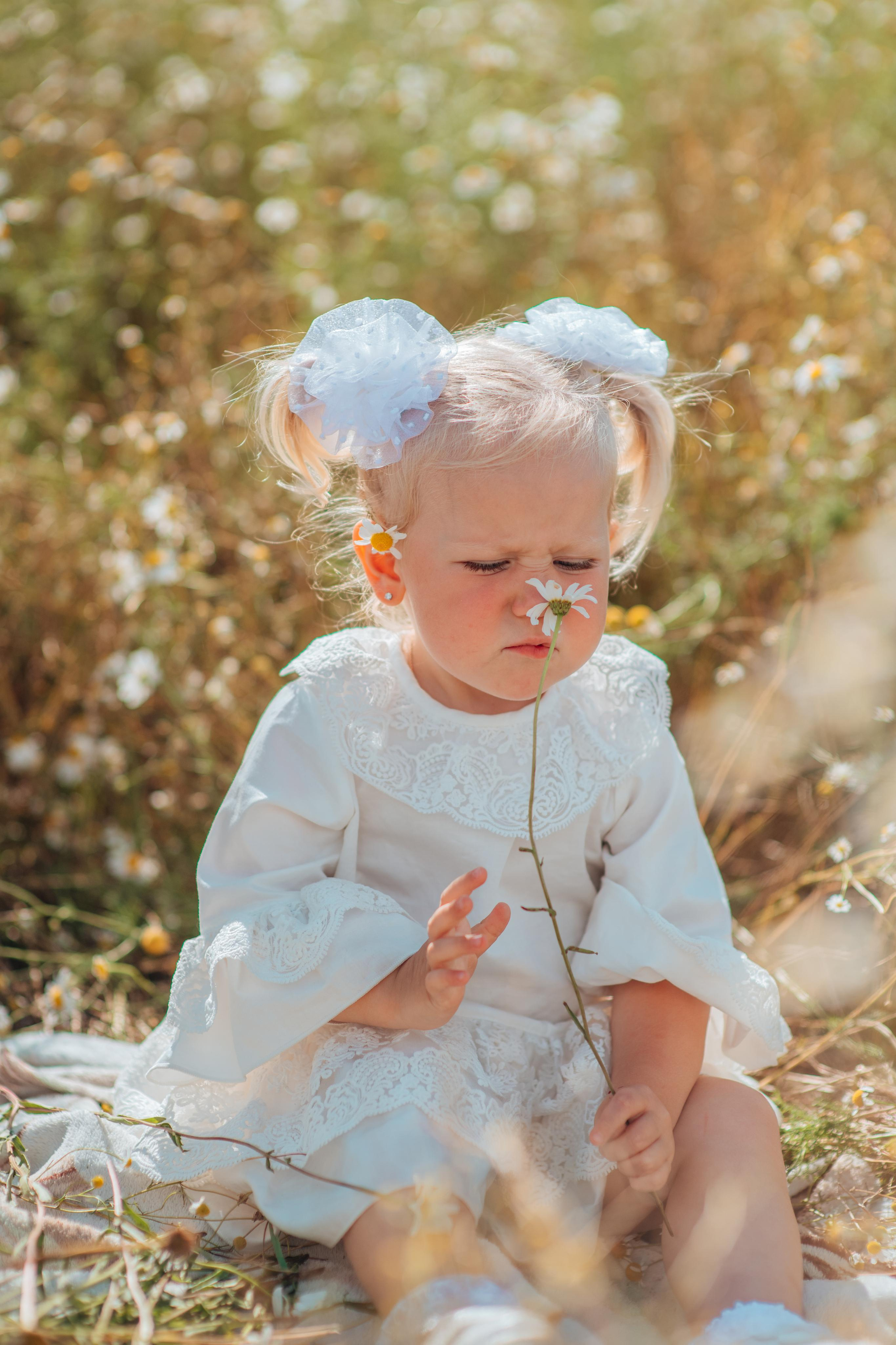 Ромашки. Фотограф Алла Елисеева
