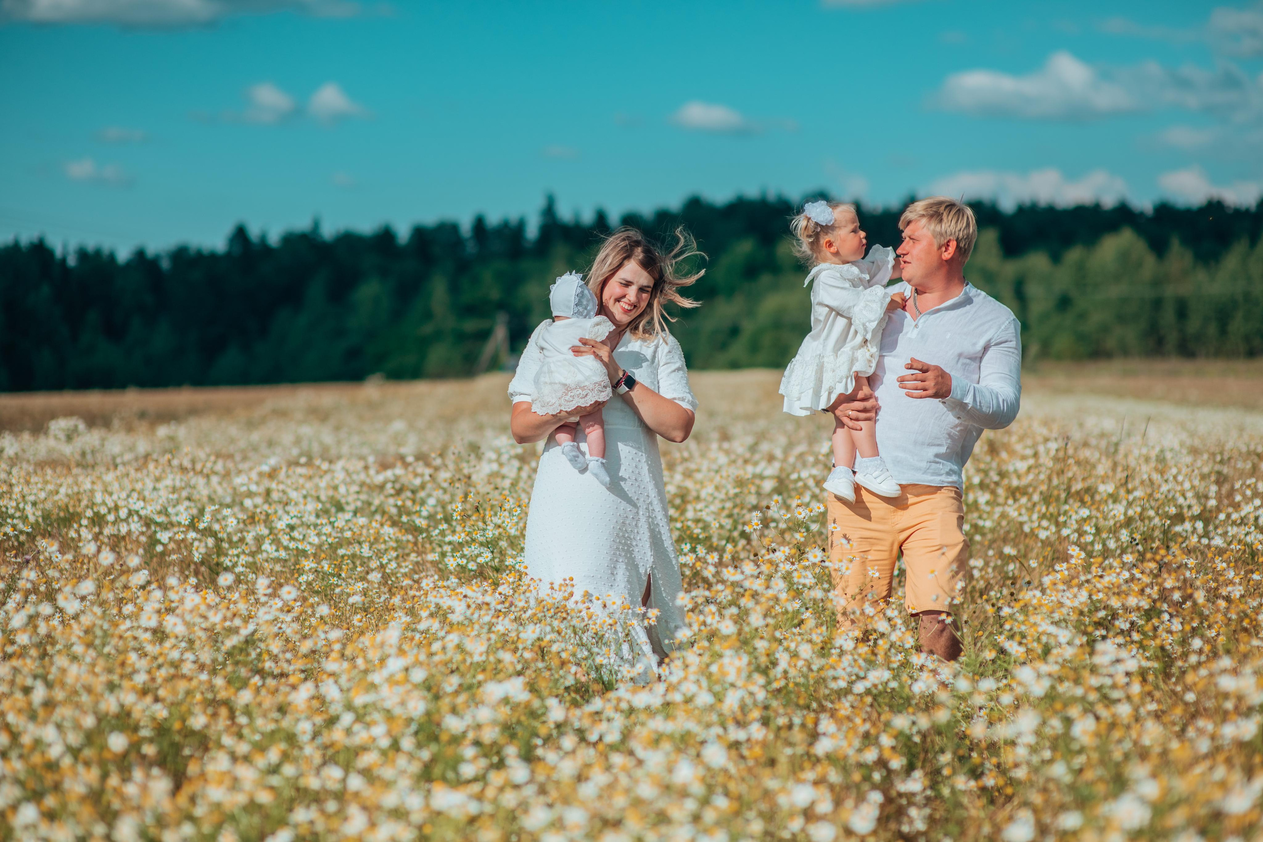 Ромашки. Фотограф Алла Елисеева