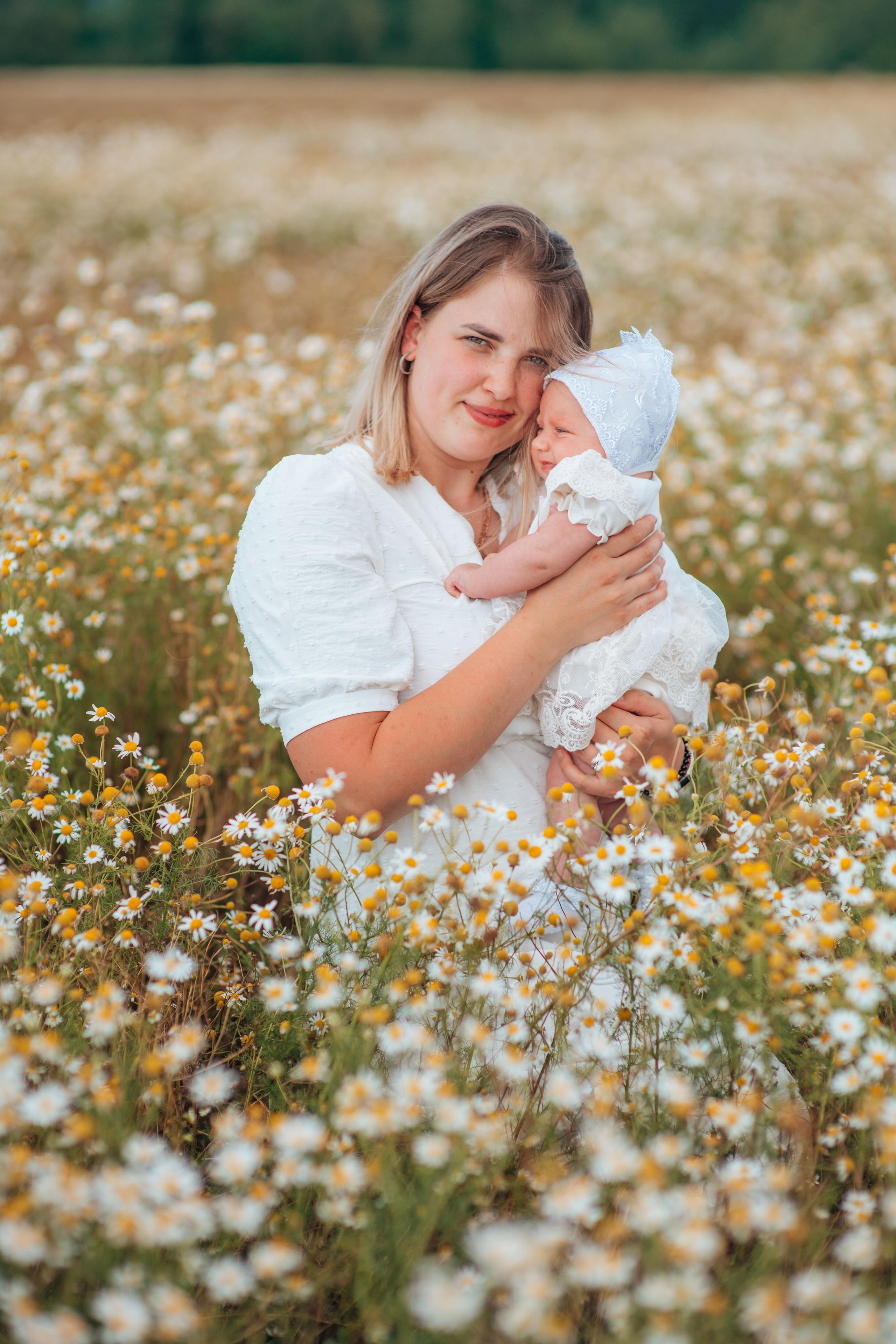Ромашки. Фотограф Алла Елисеева