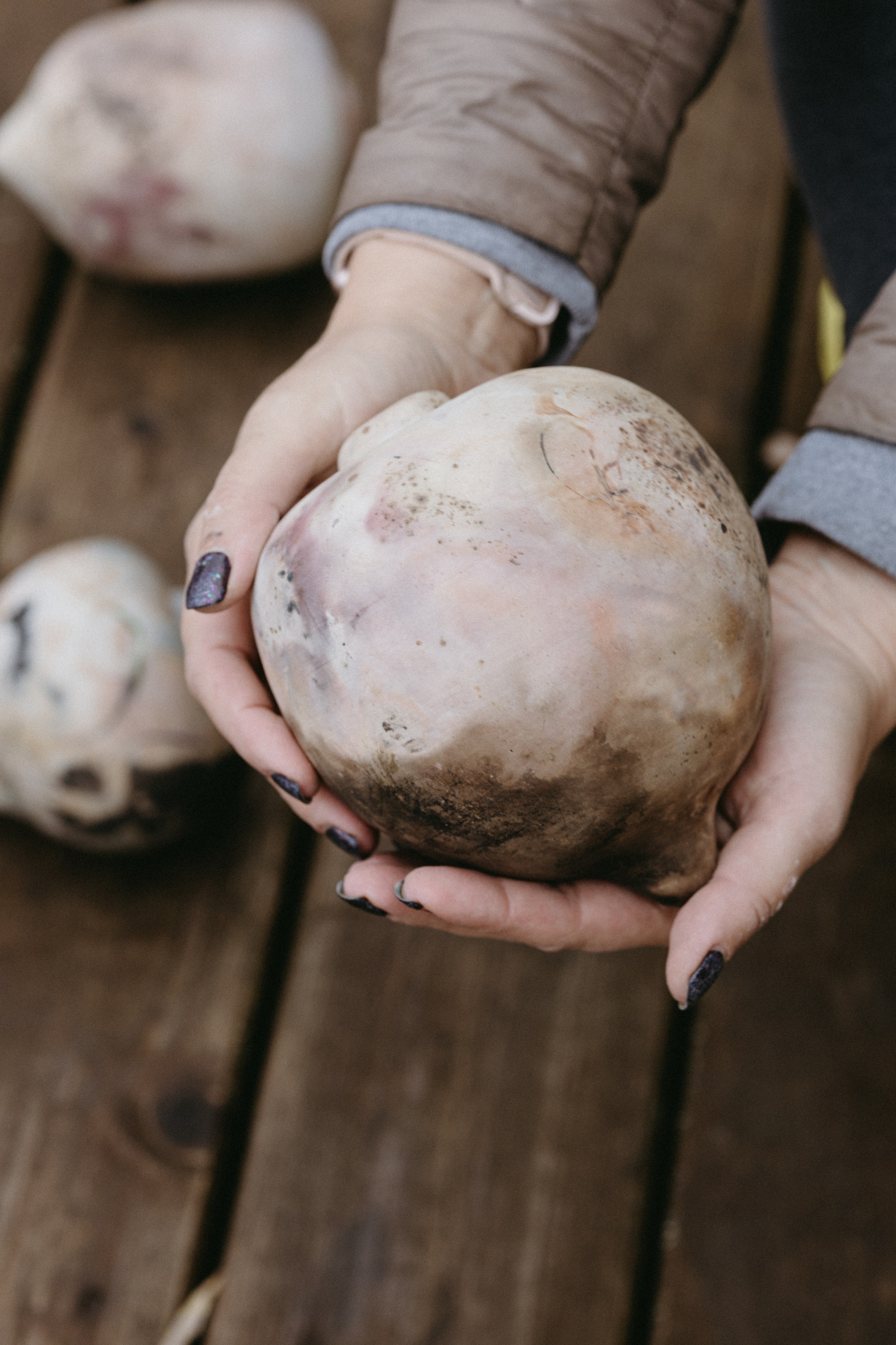 Новые земли. Про любовь