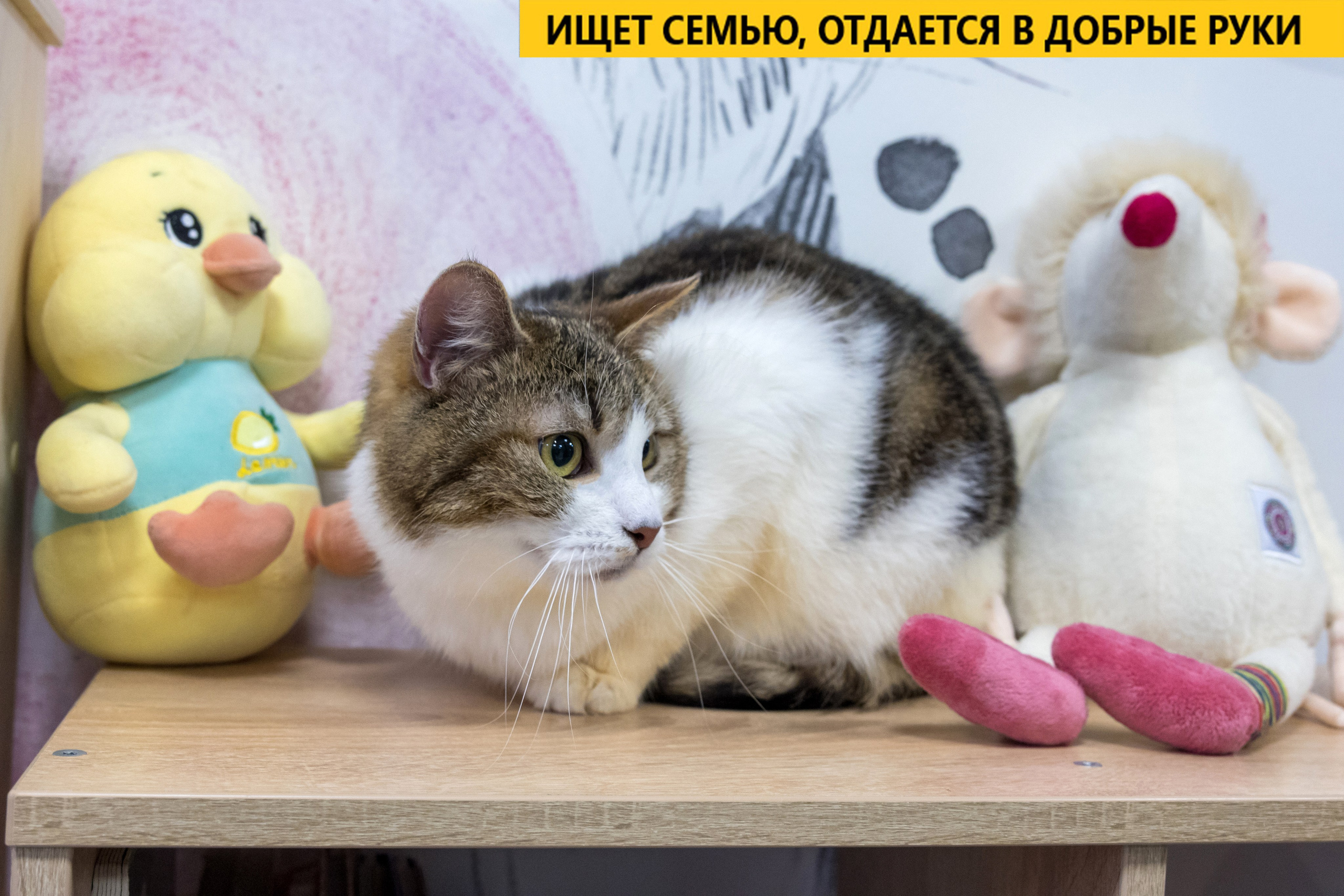 Рекламная съемка в Москве. Геннадий Степанов —фотограф в Москве