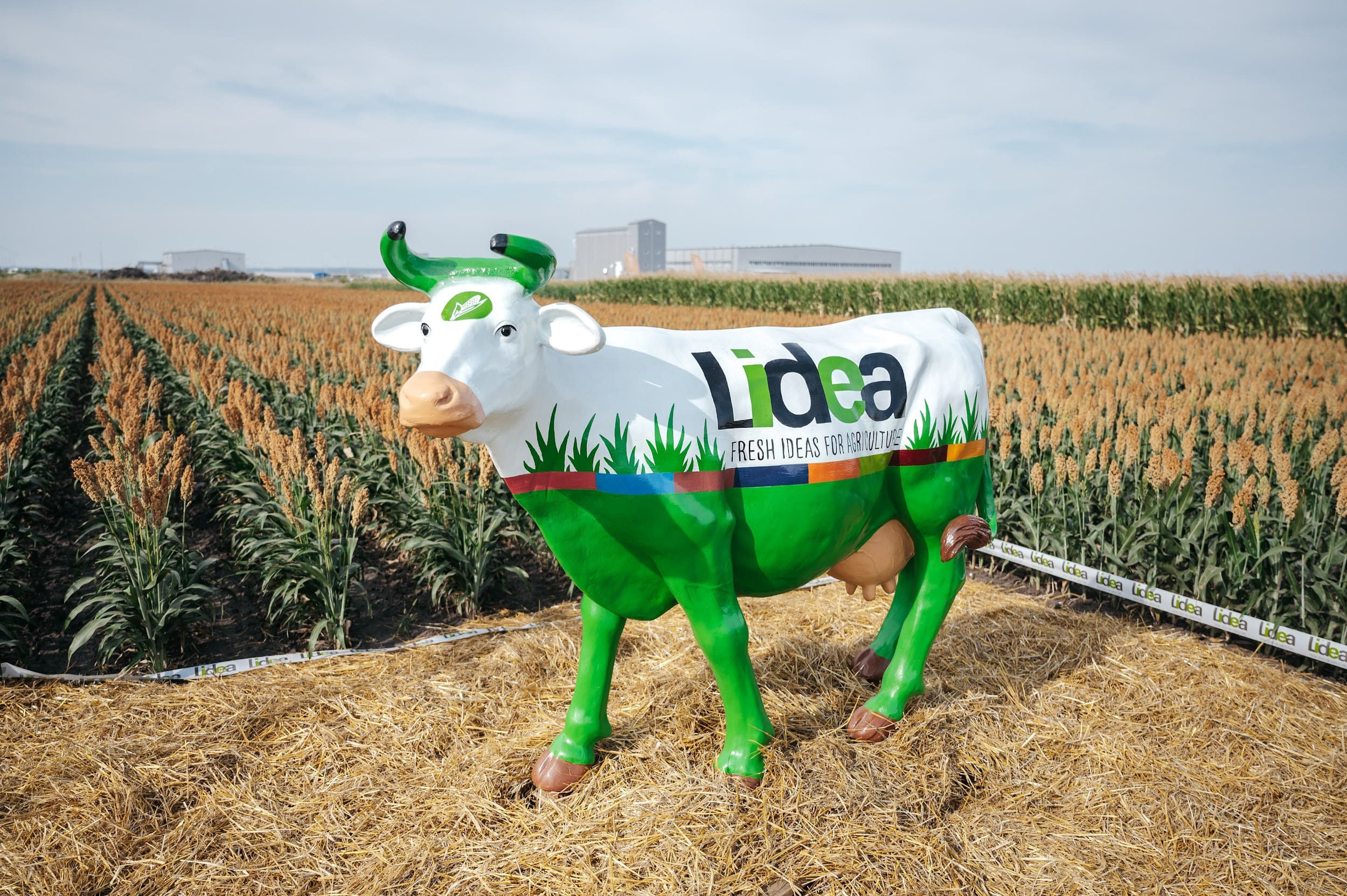 LIDEA. Владимир Дьяконов — Индустриальный и репортажной фотограф в России