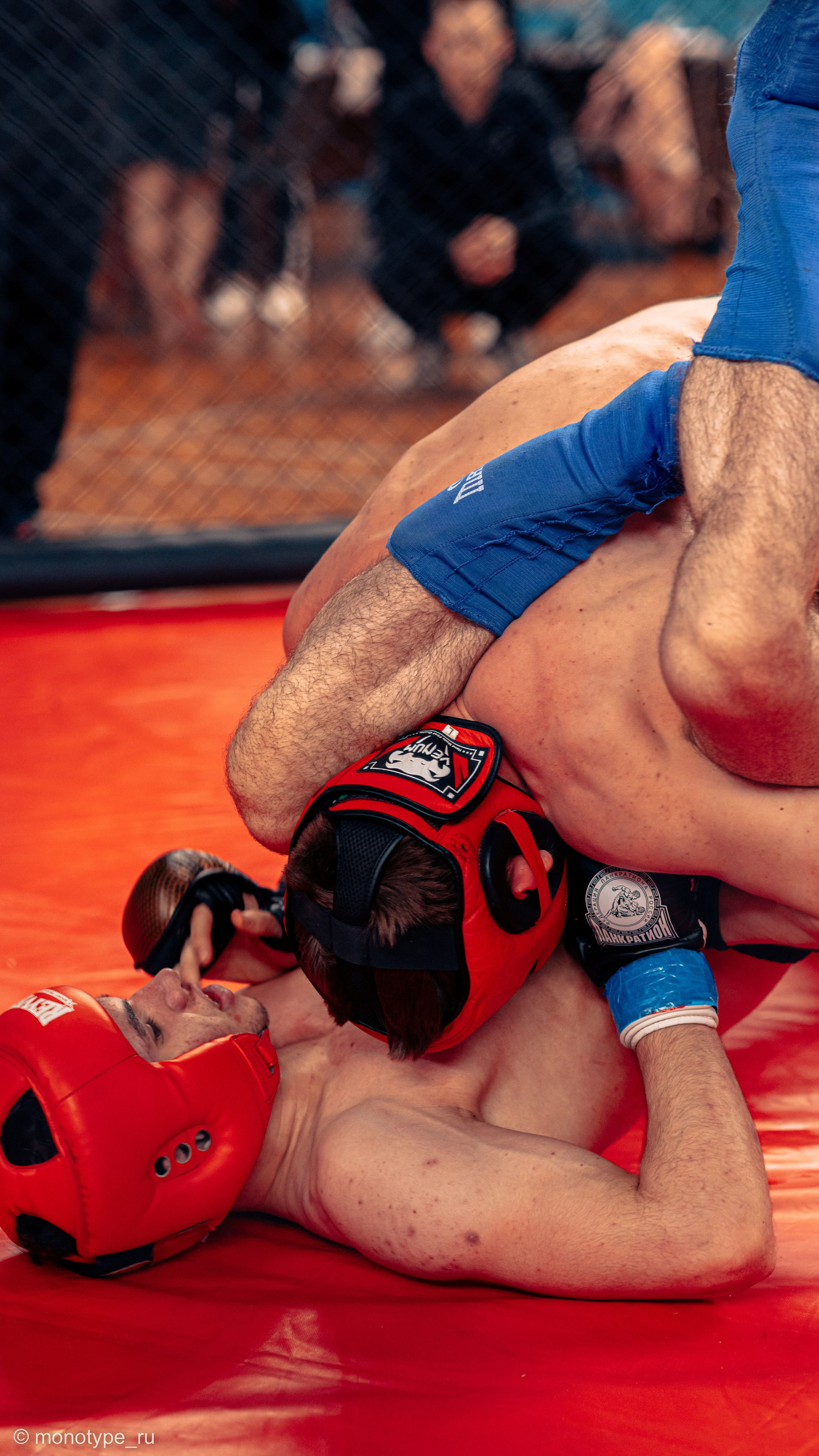 MMA. Бойцовский турнир