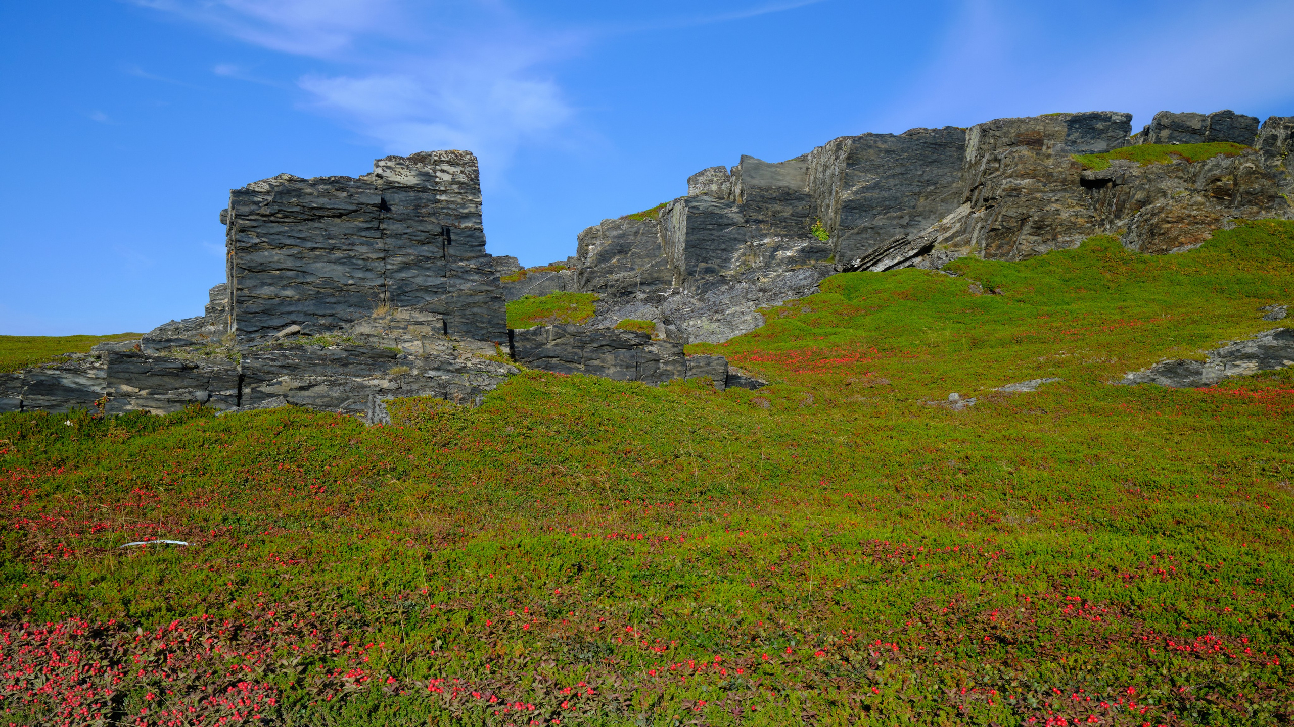 Полуостров Рыбачий. Пейзажи Крайнего Севера. Баренцево море, Рыбачий, Средний, Немецкий