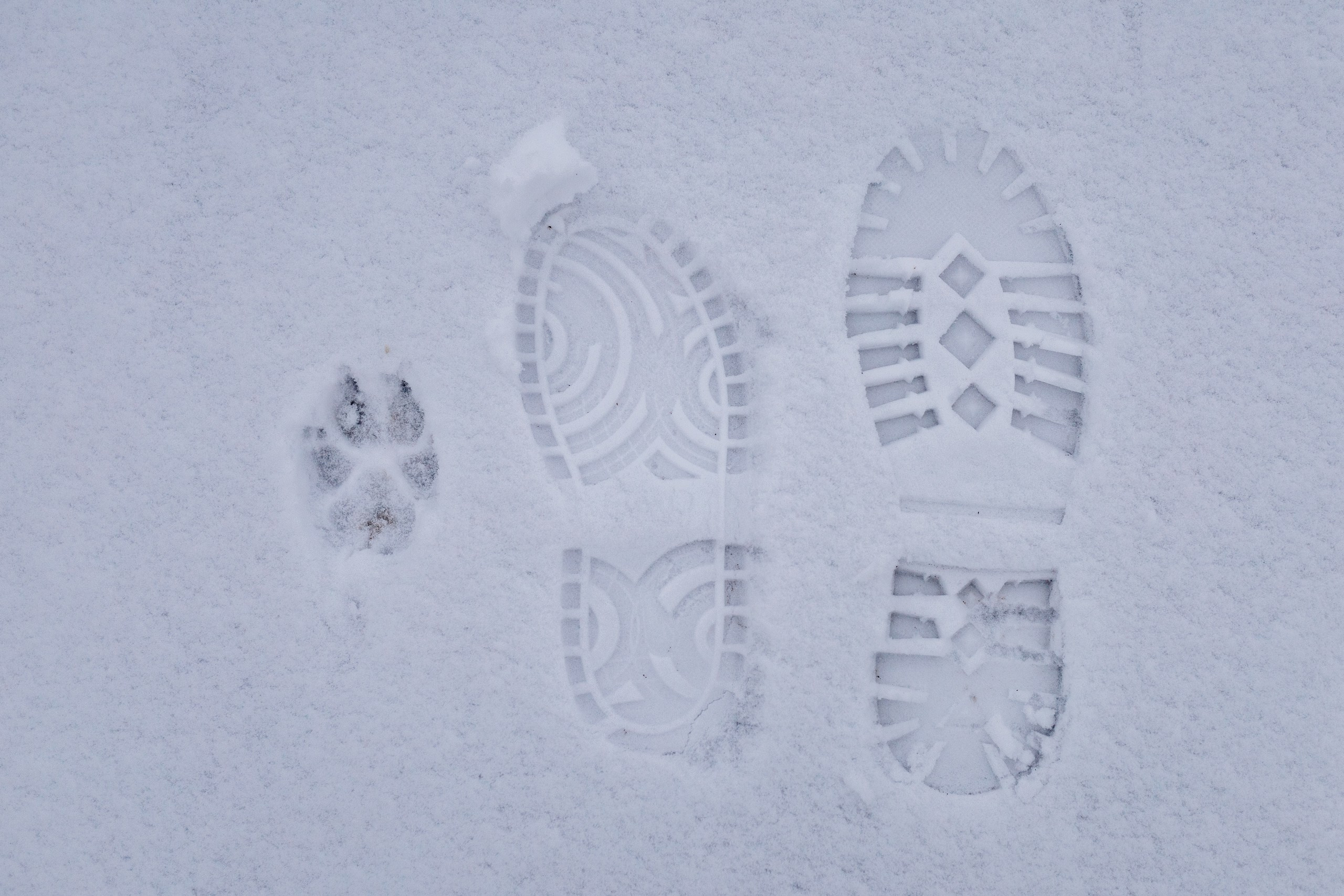 Суздаль. Павел Шарапов | Фотограф | Москва