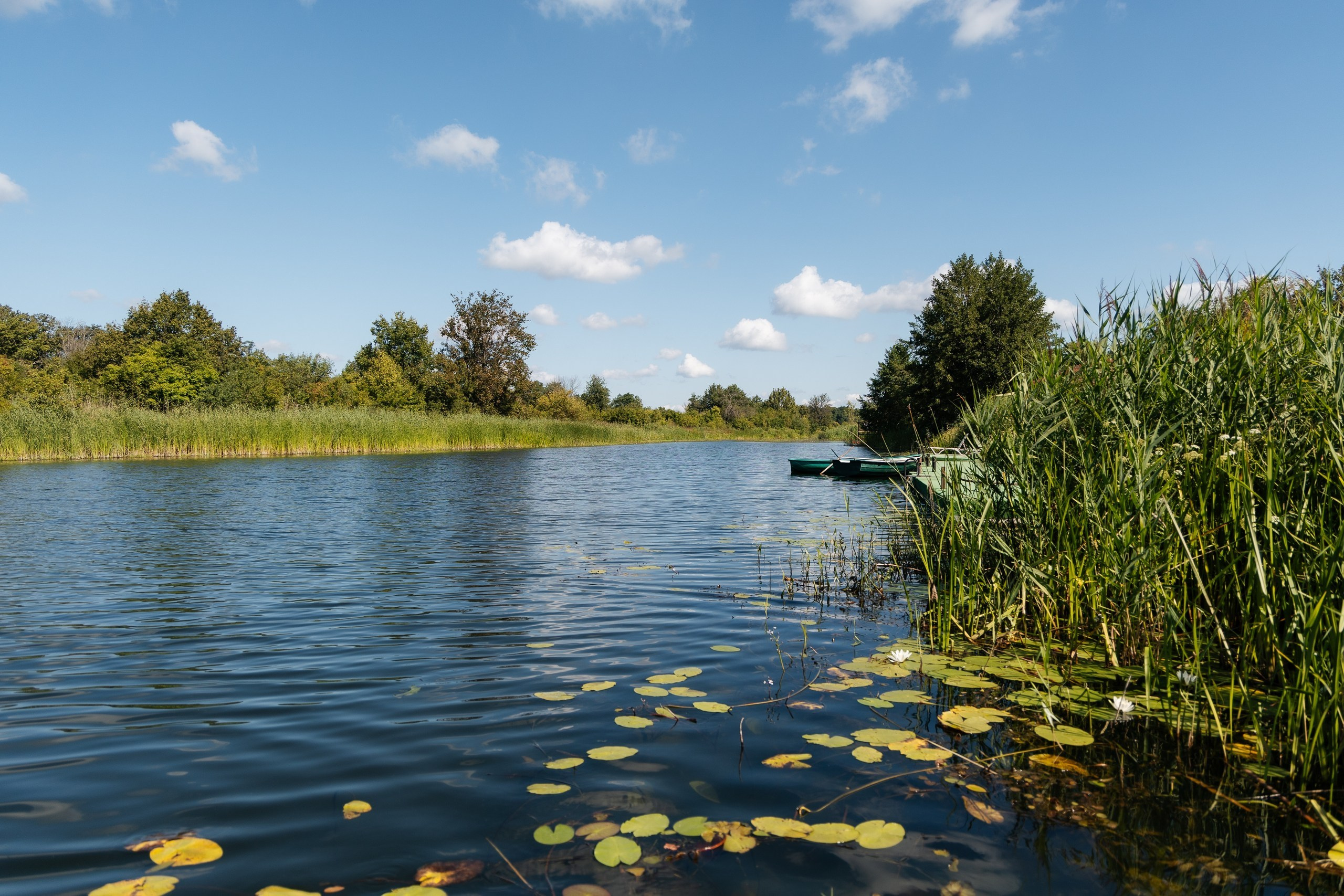 Трейдсан | Корпоратив 12 лет. Свадебный и репортажный фотограф в Воронеже Сергей Максимов