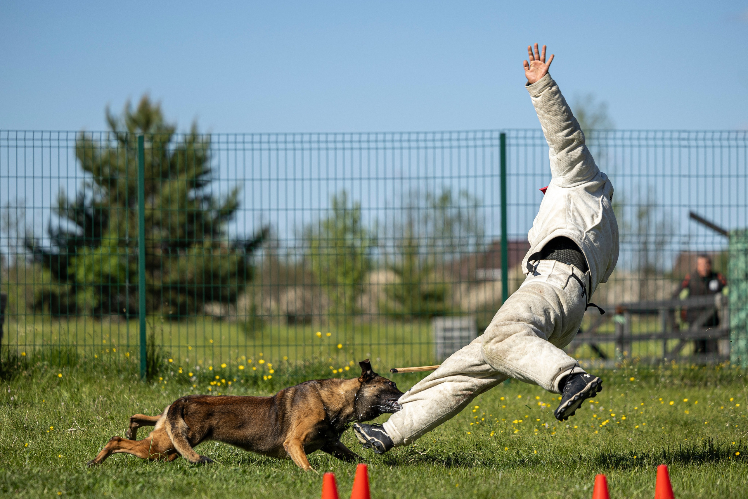 Испытания по мондьорингу в Нижнем Новгороде. Фотограф-анималист Анна Маринич