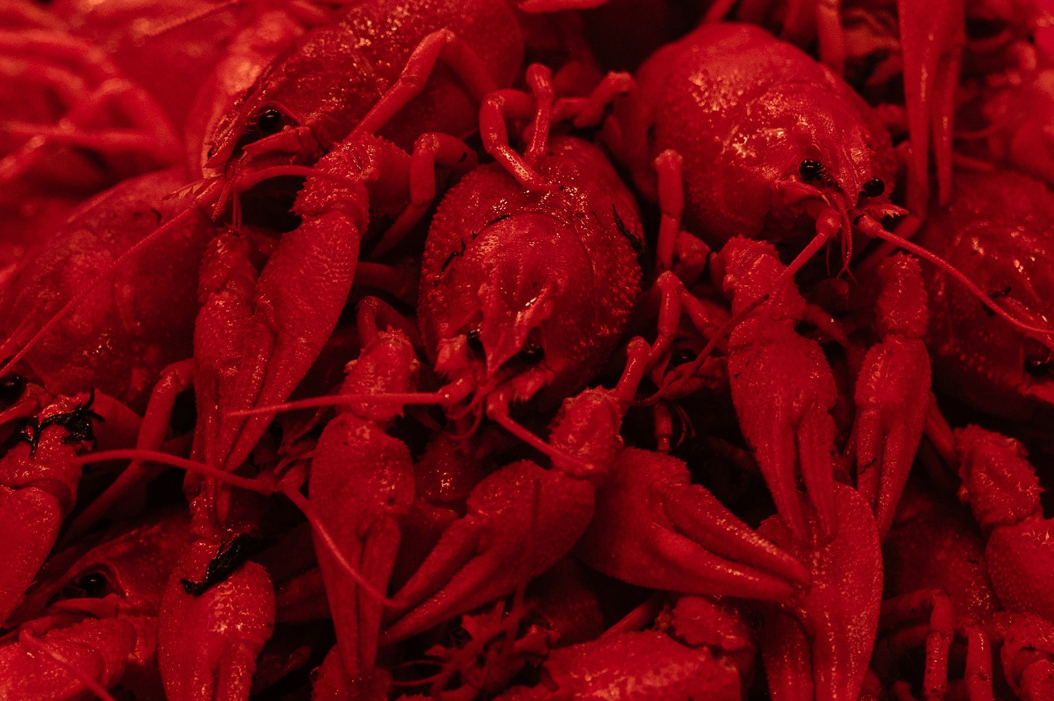 Мастер и Маргарита | Бал. Свадебный и репортажный фотограф Сергей Чесноков