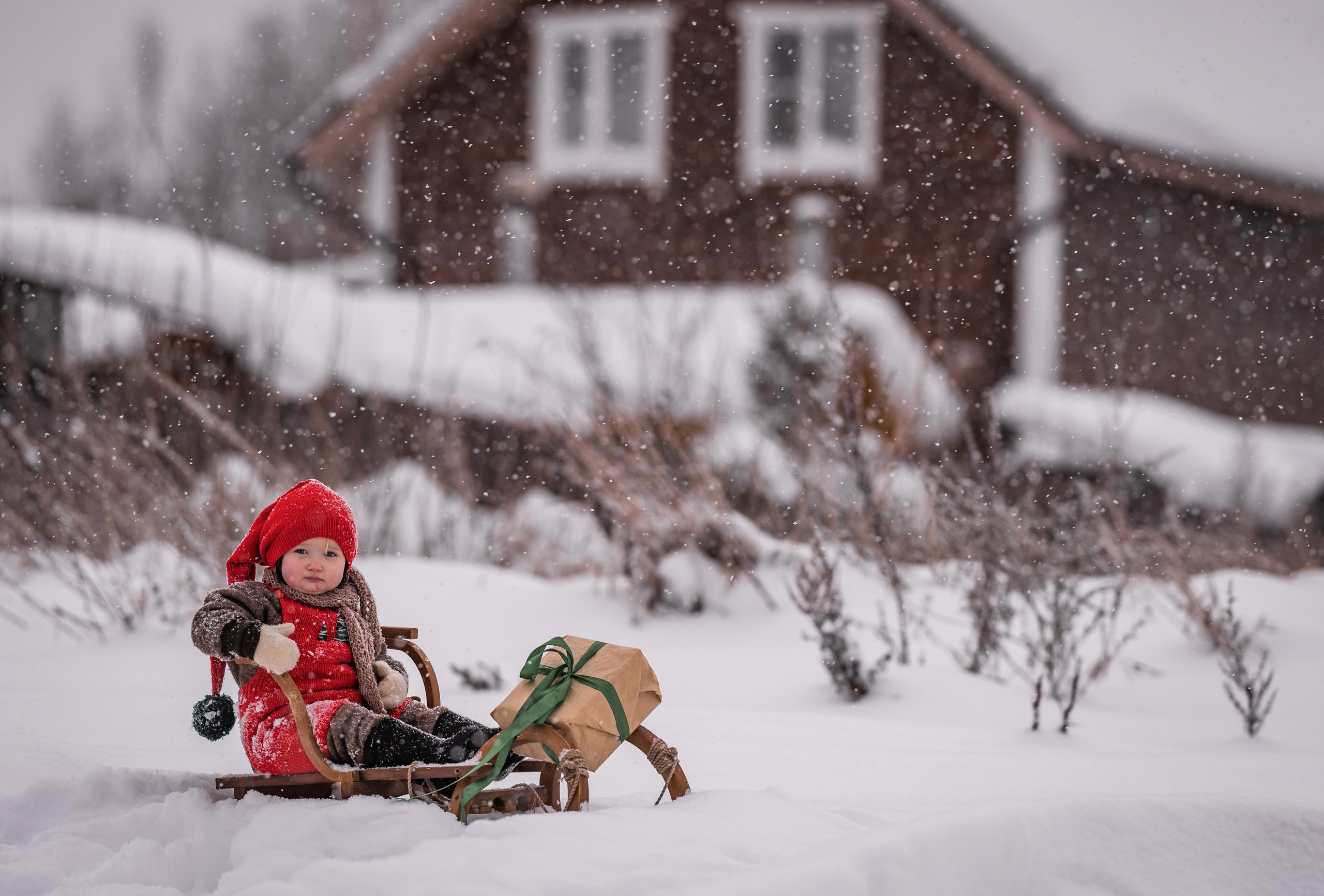 Снежная прогулка на санках. Семейный фотограф Ефремова Виктория