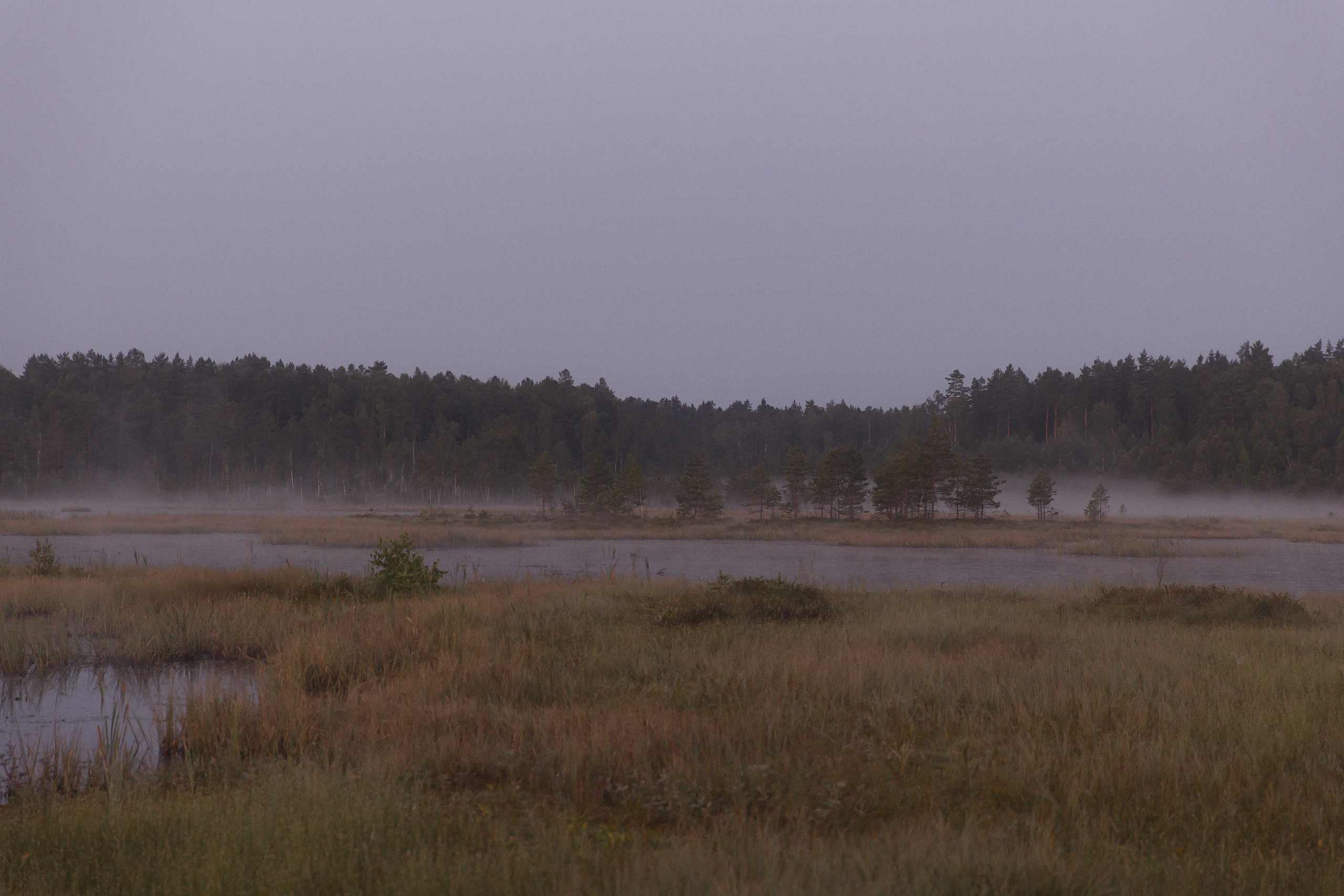 Босиком до края, рассветы встречая Дима + Дарья. Свадебный фотограф Колесников Антон