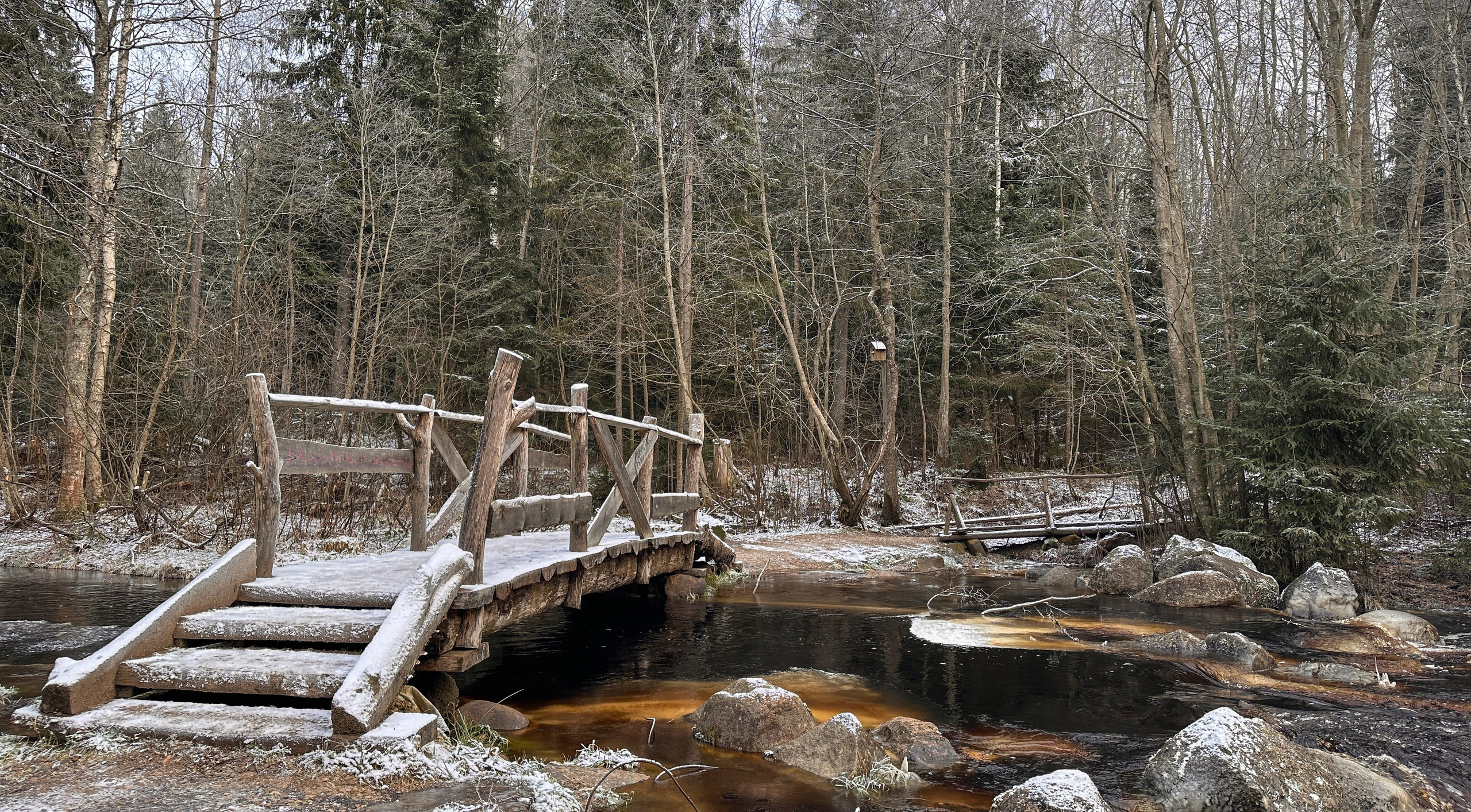 Портретный фотограф в Санкт-Петербурге Владимир Никитин