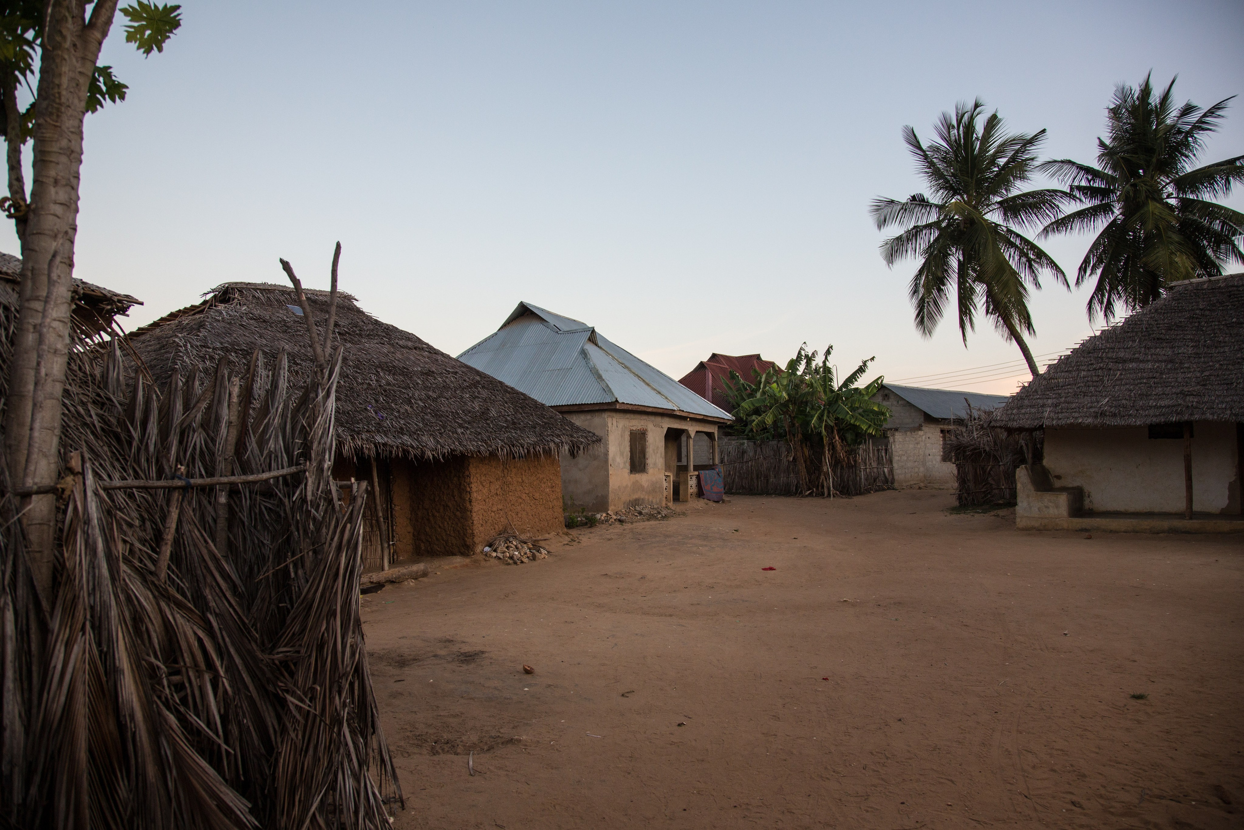 Танзания. Добродеева Алла фотограф, Москва