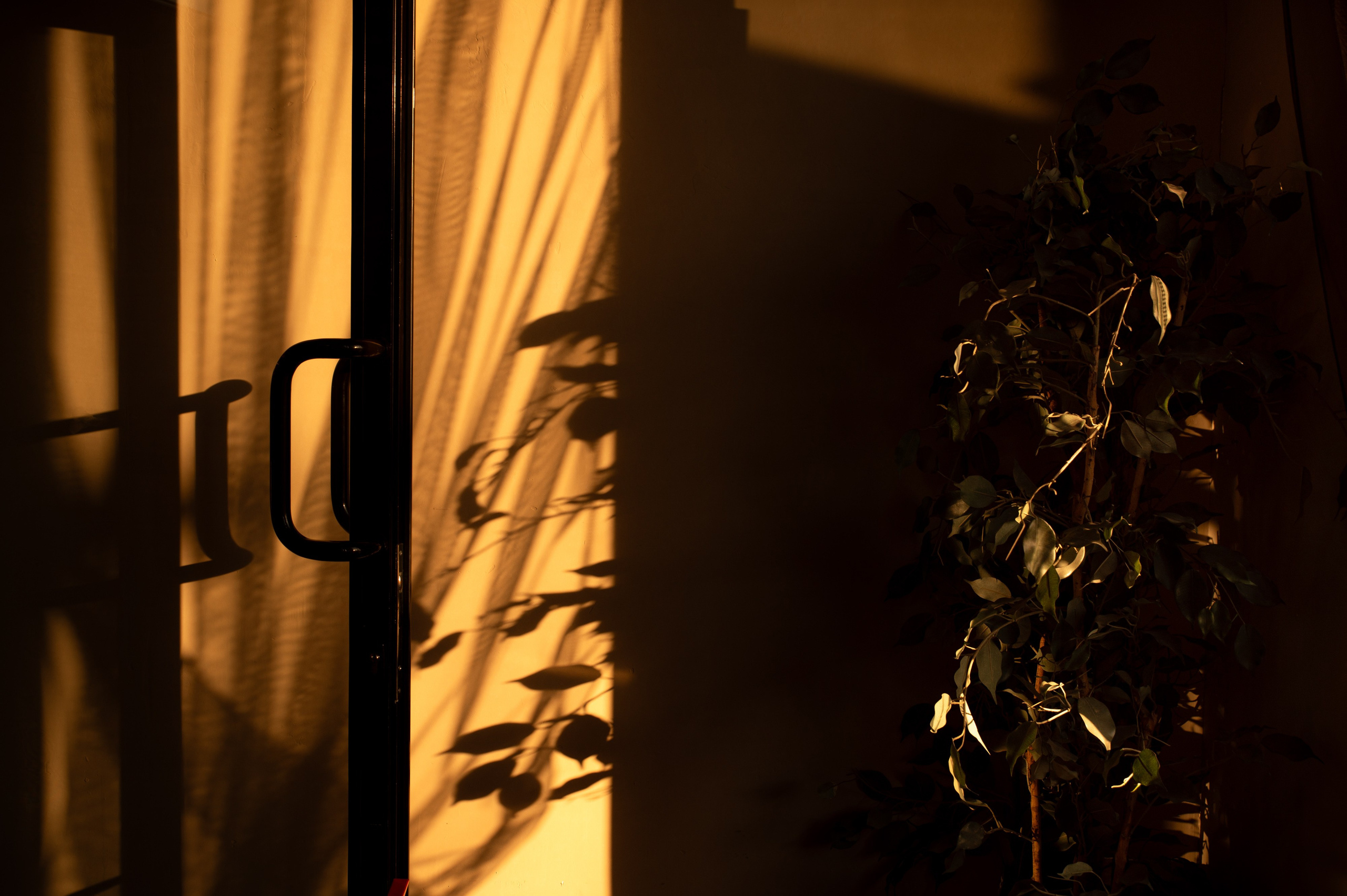 Людмила и Никита. Свадебный и портретный фотограф в Москве Жердев Даниил