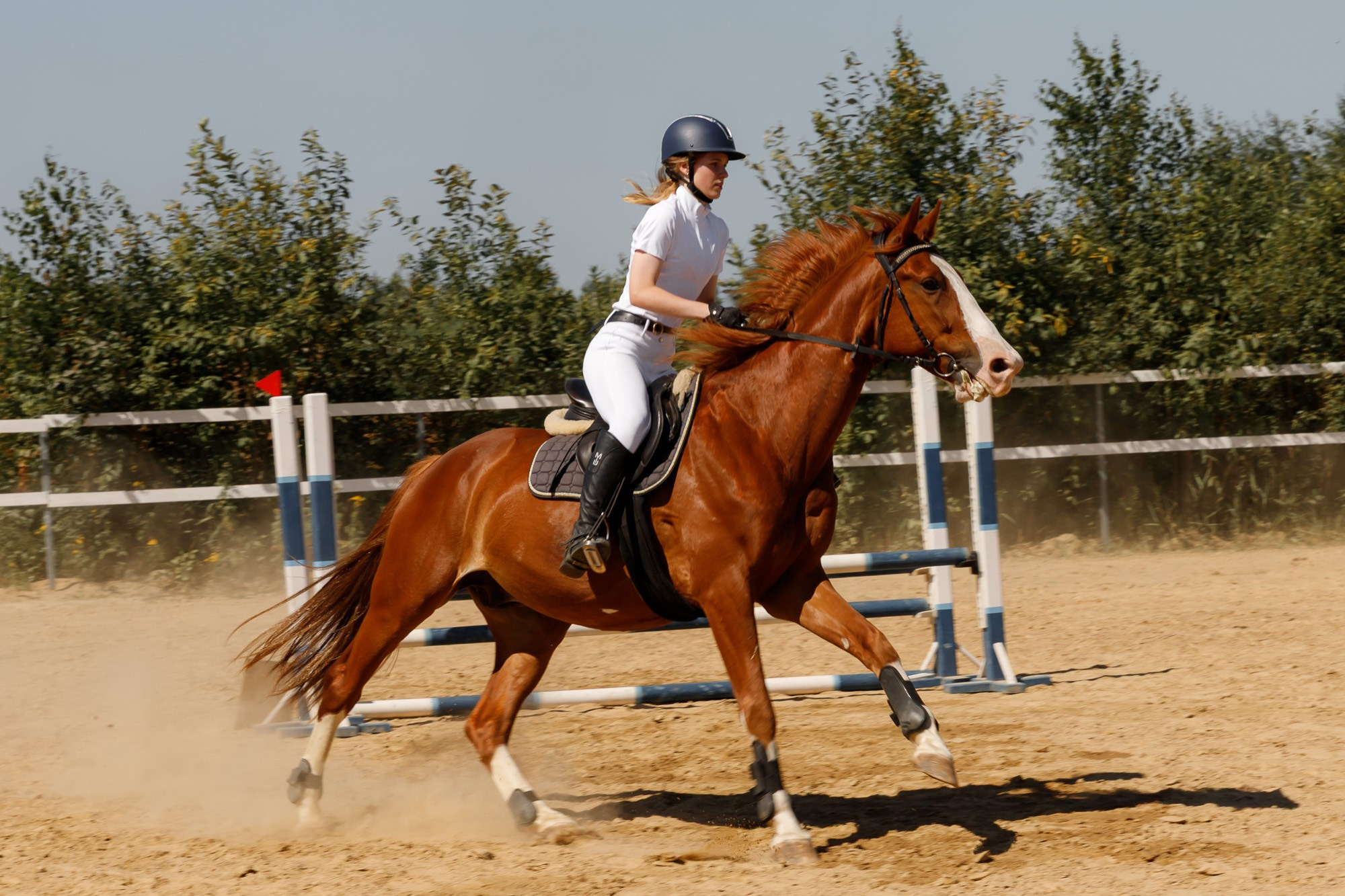 Конкур. Счастливый фотограф Елена Лелявочка СПб
