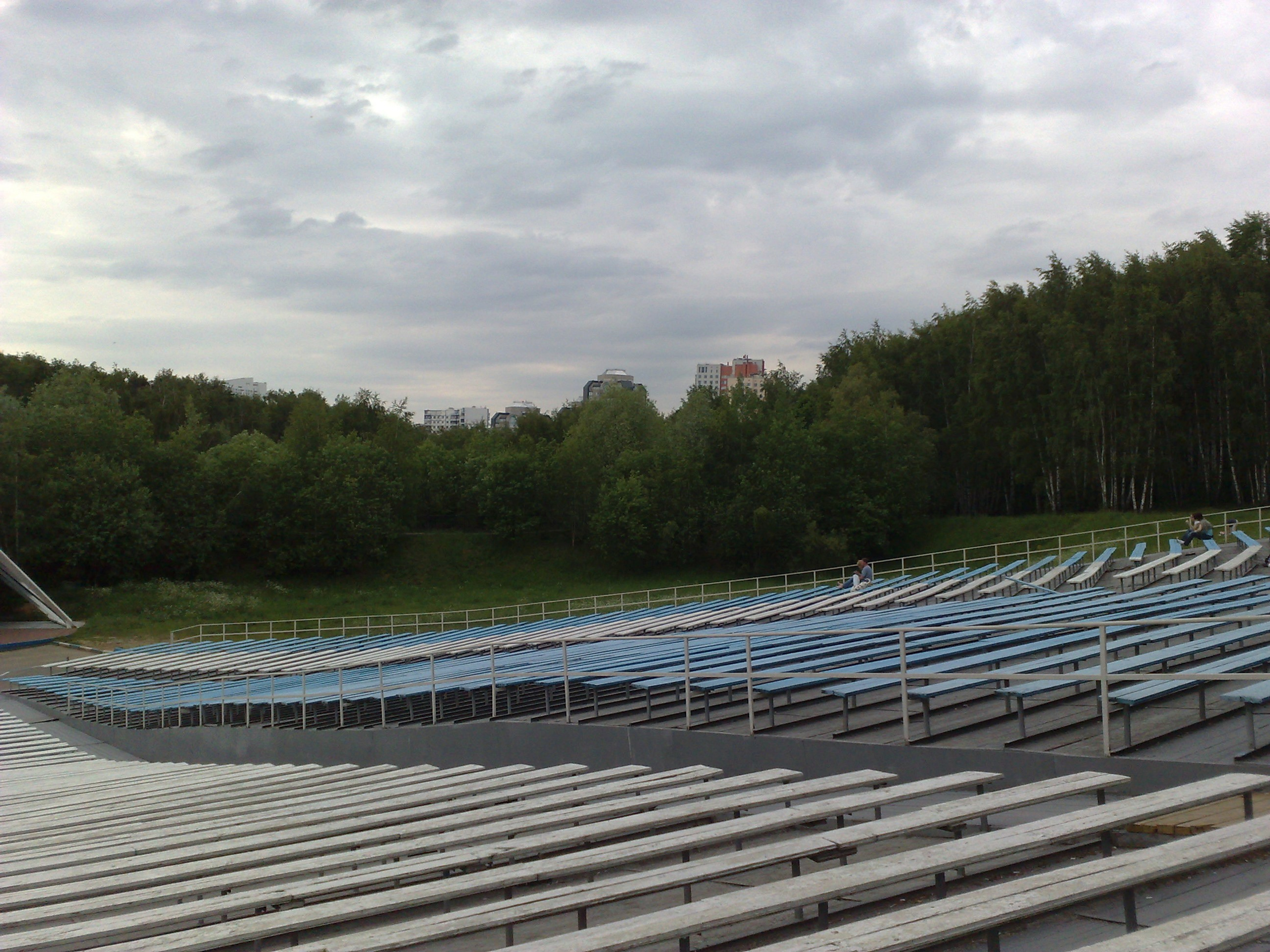 Зося на прогулке. Питомник китайских хохлатых собак Poale Ell: купить щенка в питомнике