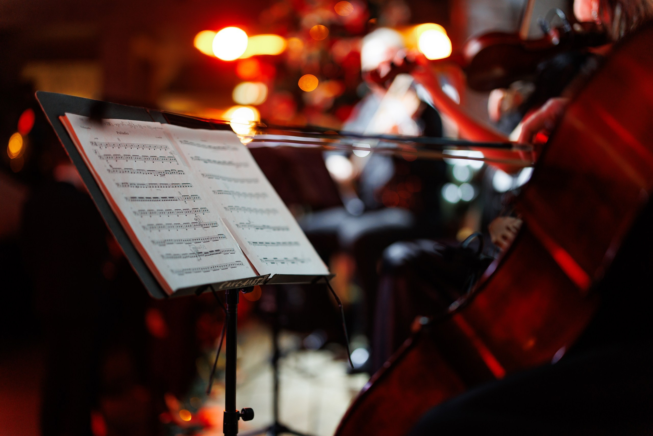 Свадебный фотограф. Свадебный фотограф — Крюков Константин