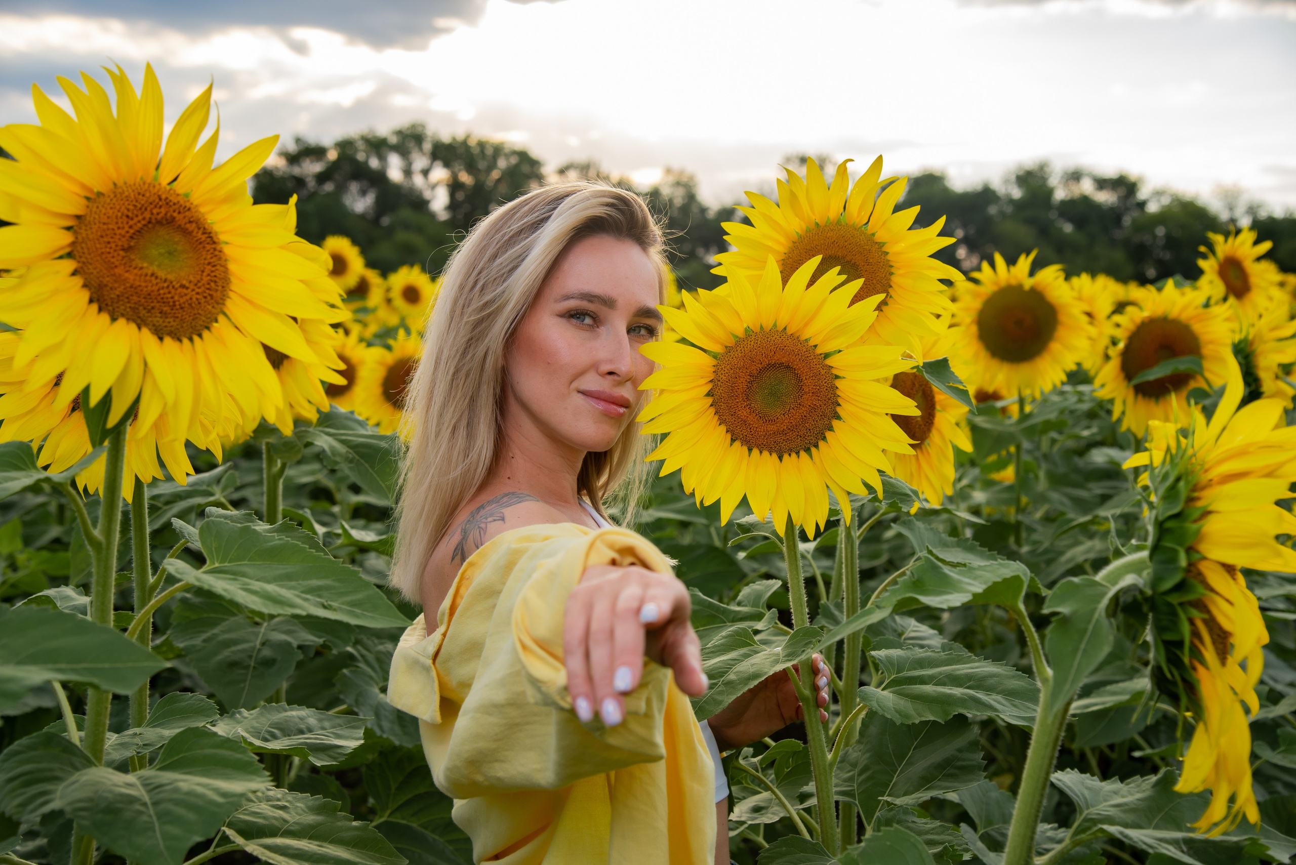 Подсолнух. Фотограф Галина Нестерова