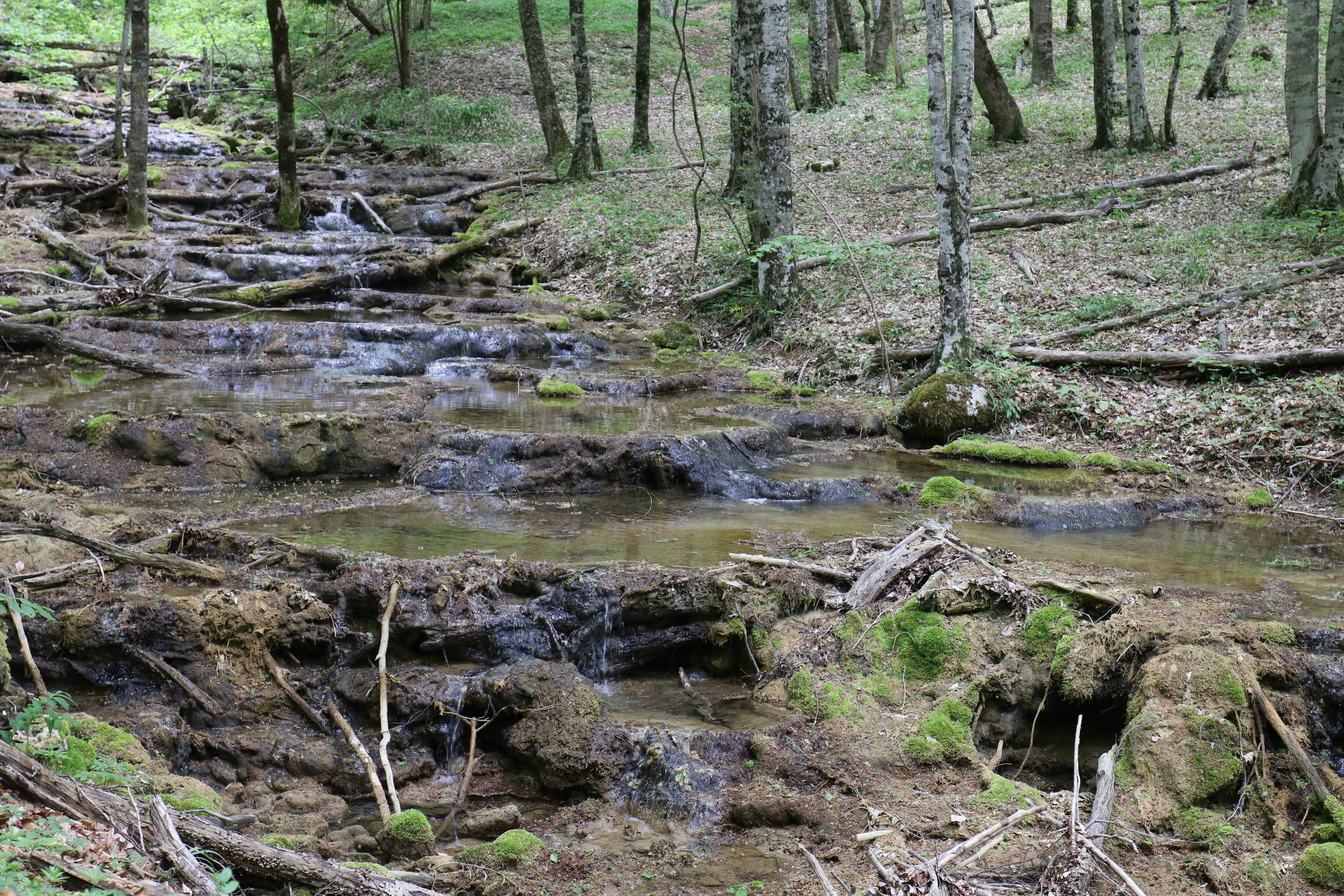 Крым. ЮБК (Бахчисарай, Демерджи, Судак). Первый скалолазный выезд. Май 2019. Путешественник-фотограф из Санкт-Петербурга Татьяна Свистулина
