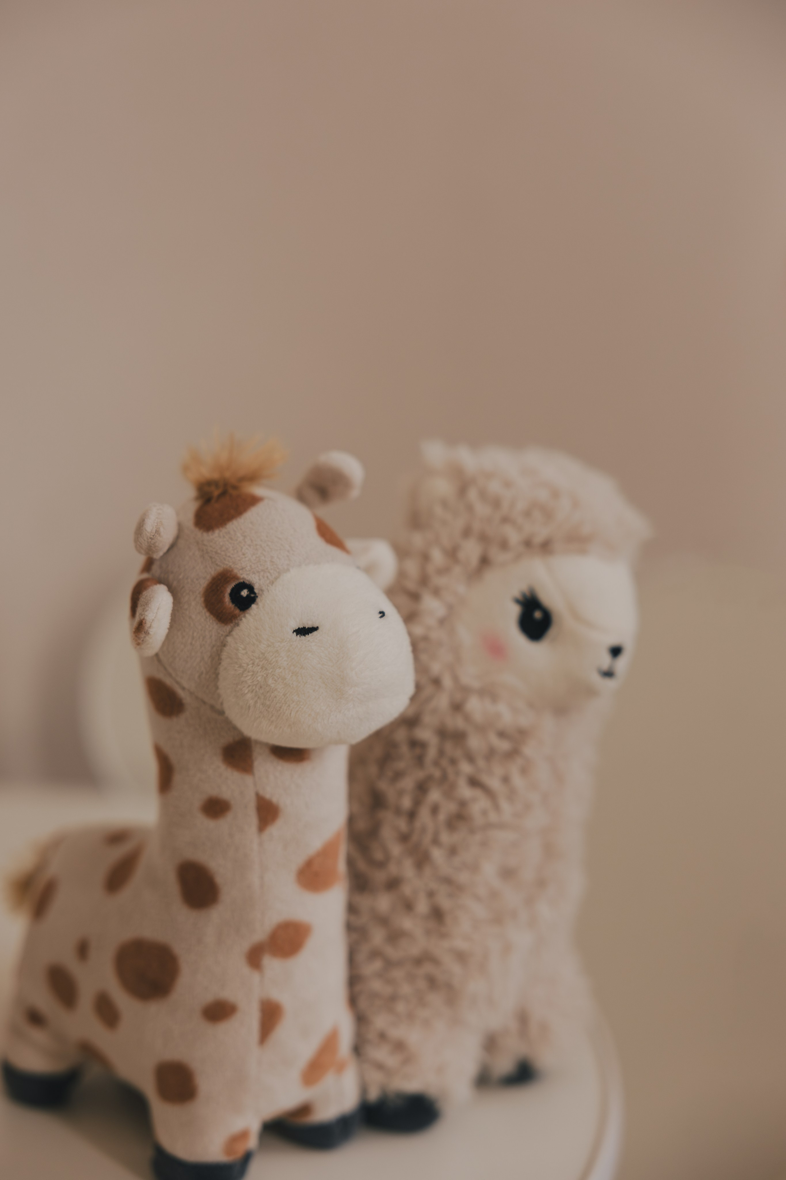 Семейная съёмка для мамы и сына. Фотограф в Санкт-Петербурге Александра Рябинина-Шрейбер (pharsh_photographer)