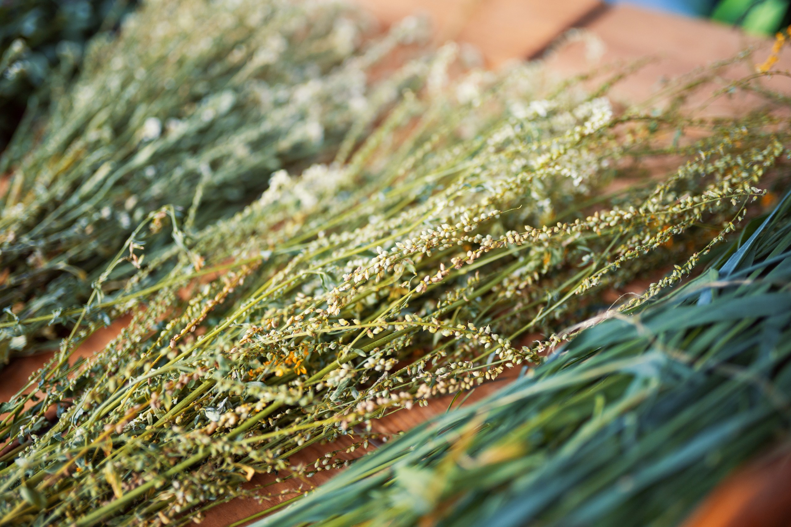 Reportage. Фотограф Ваня Бархатов