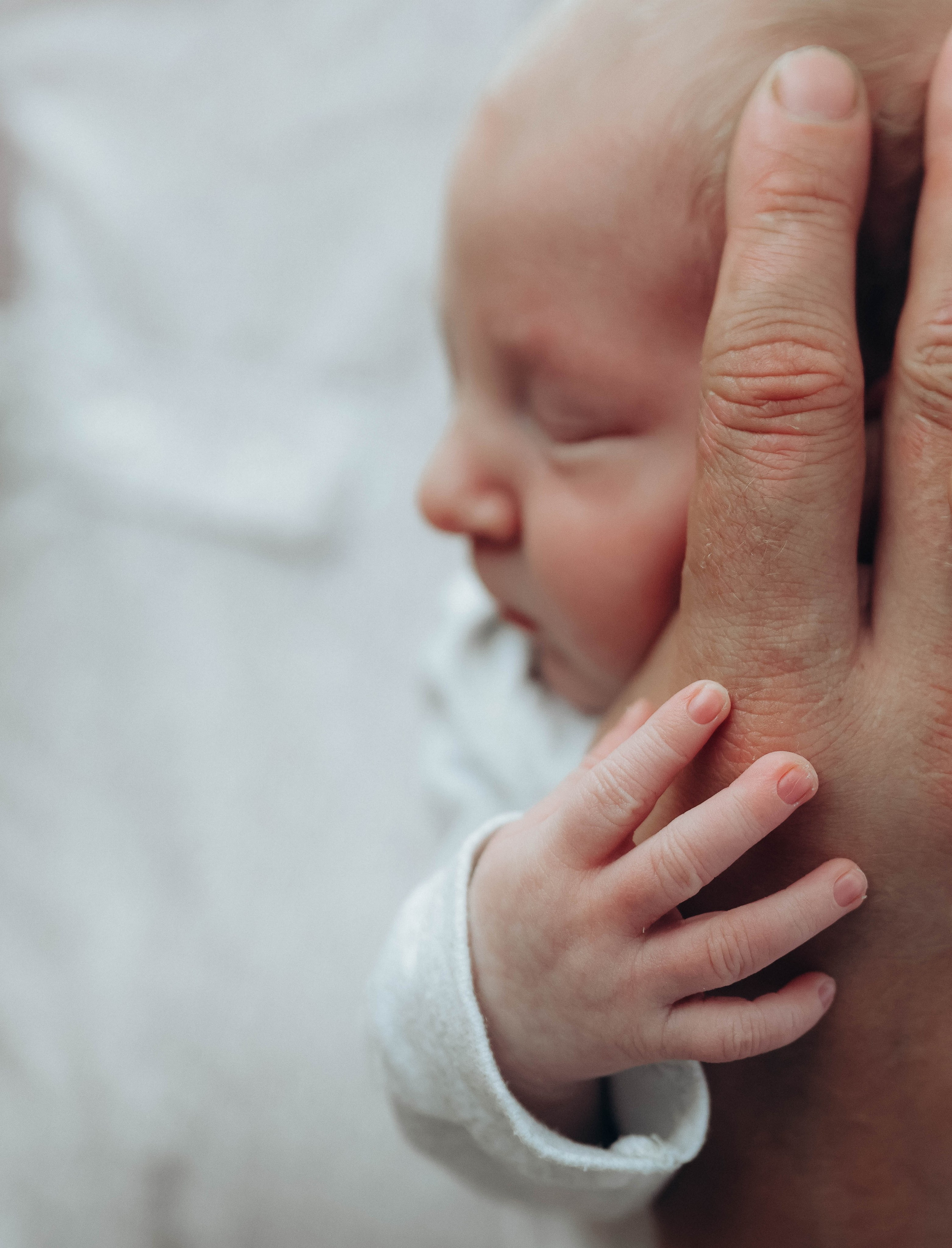 Любовь и котики. Мультифотограф Динара Ахмедзянова