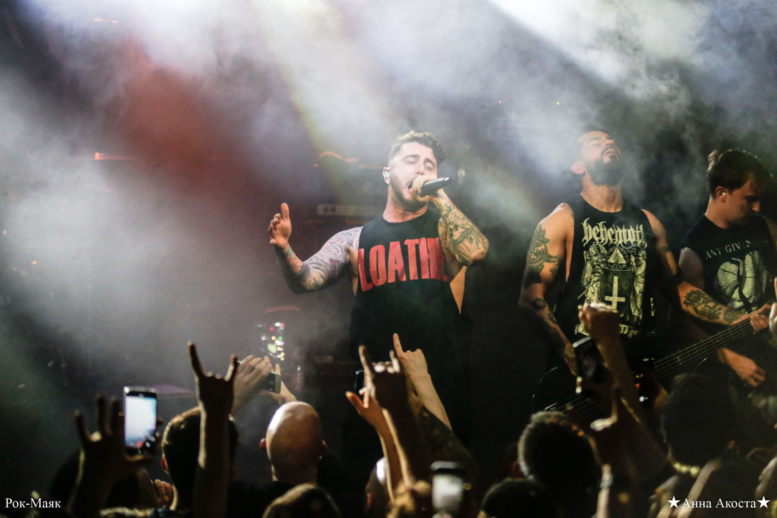 Heart Of A Coward. Анна Акоста: фотограф в Санкт-Петербурге и Таганроге