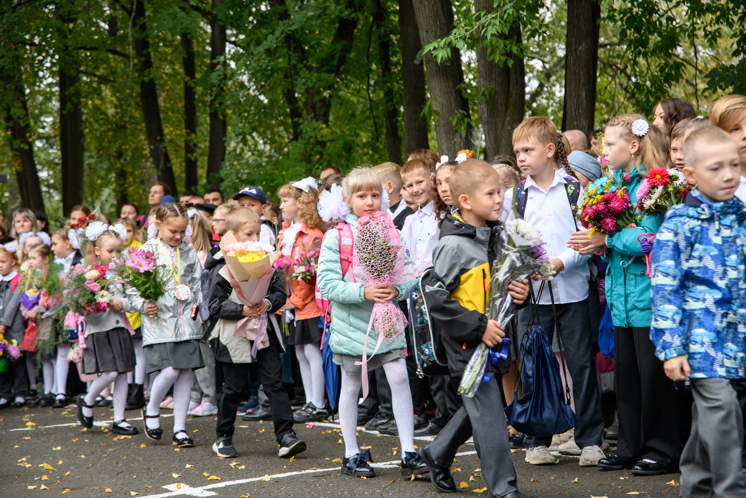 Линейка 1 сентября. Фотостудия «Стрекоза»