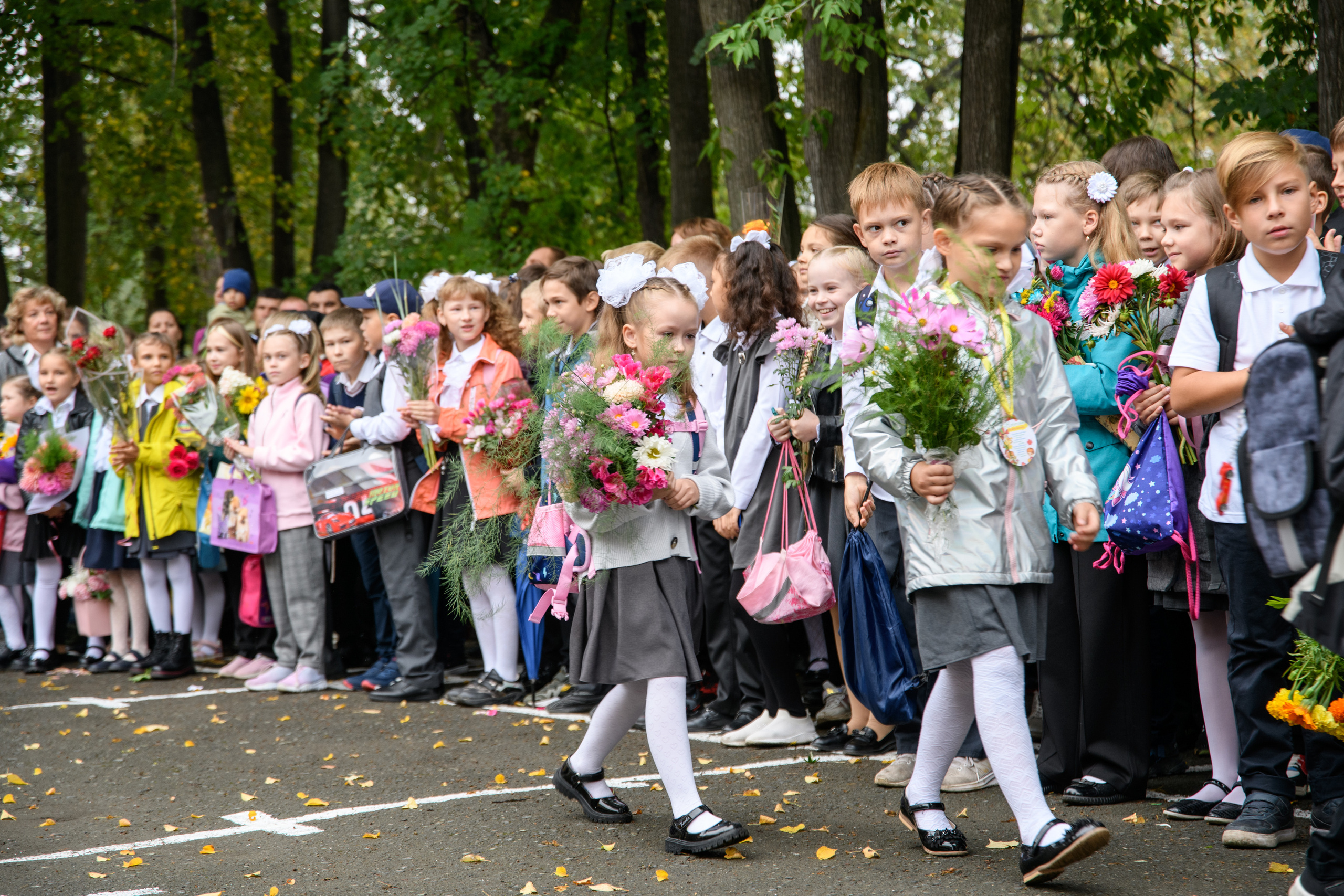 Линейка 1 сентября. Фотостудия «Стрекоза»