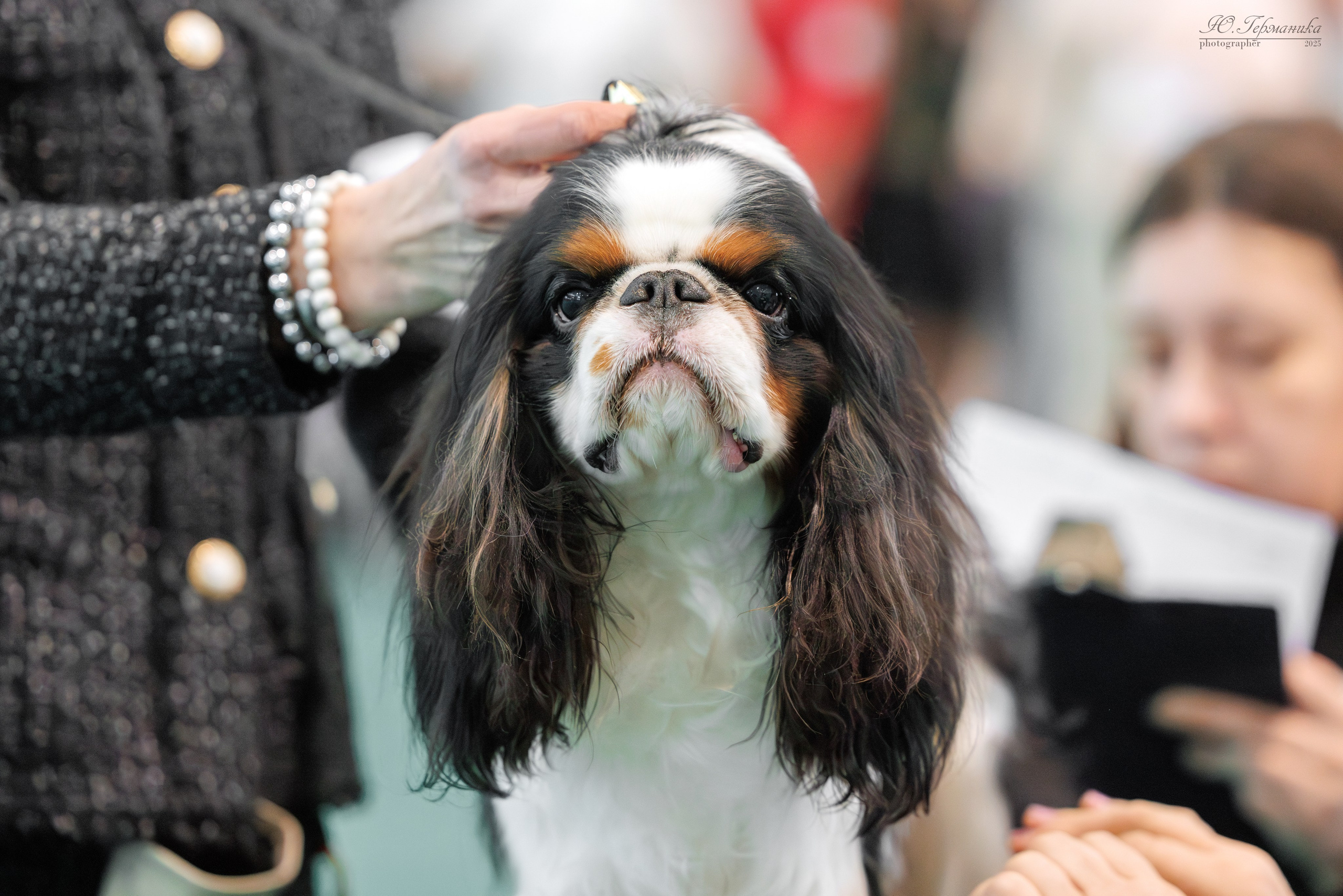 Минск 1-2.03.2025. Фотограф-анималист Юлия Германика