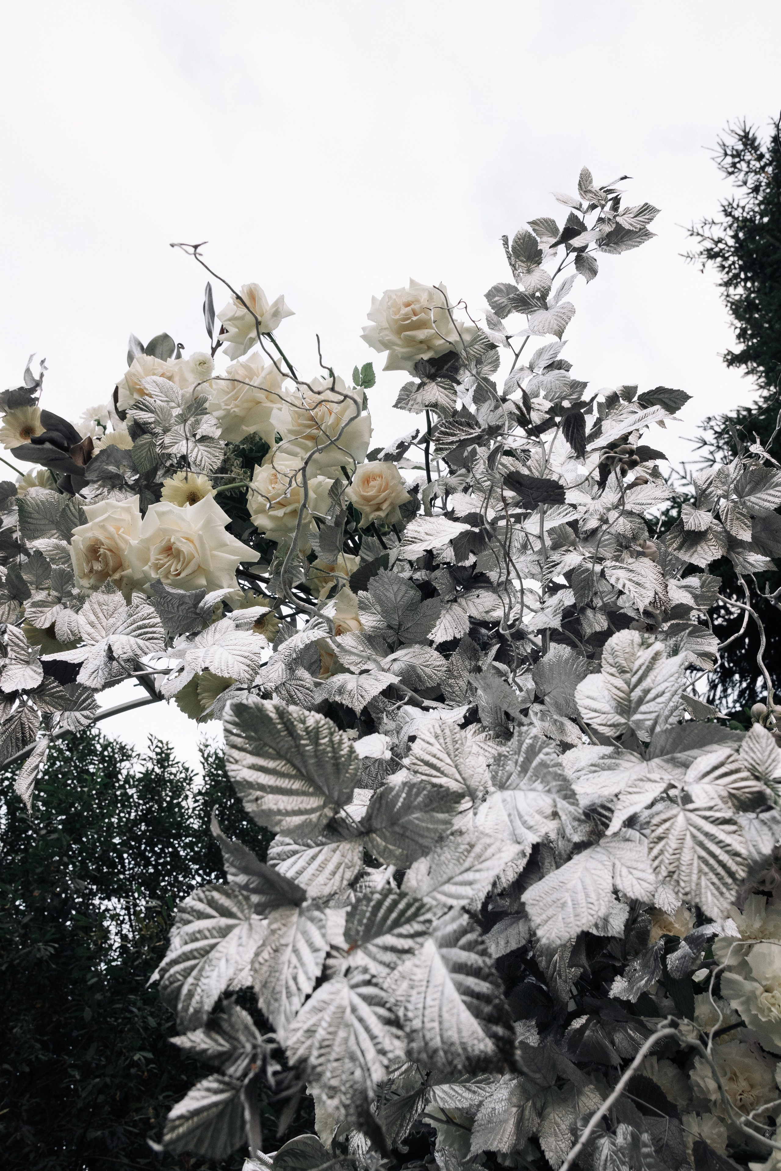 Wedding in nature's sparkles. Antonina Knyazeva  — фотограф из Москвы, съемки по всему миру
