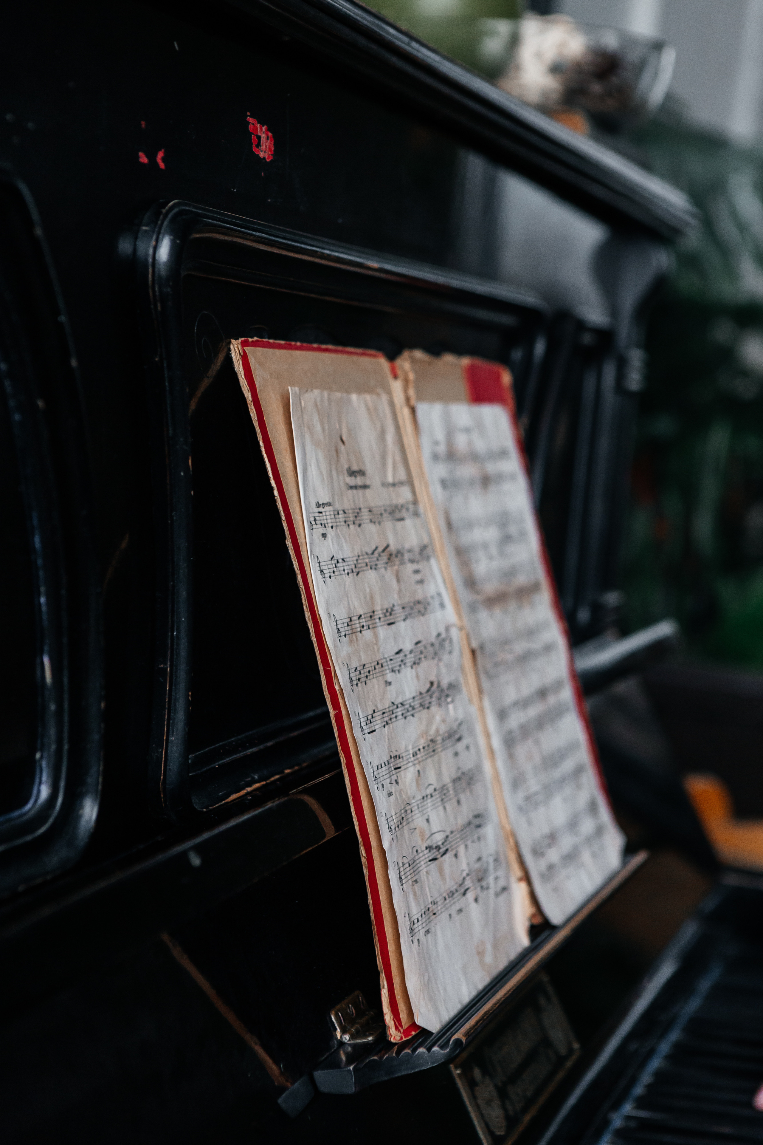 Елена. Фотограф Наталия Федосова, г. Москва. TG и Instagram @nataliya_raw