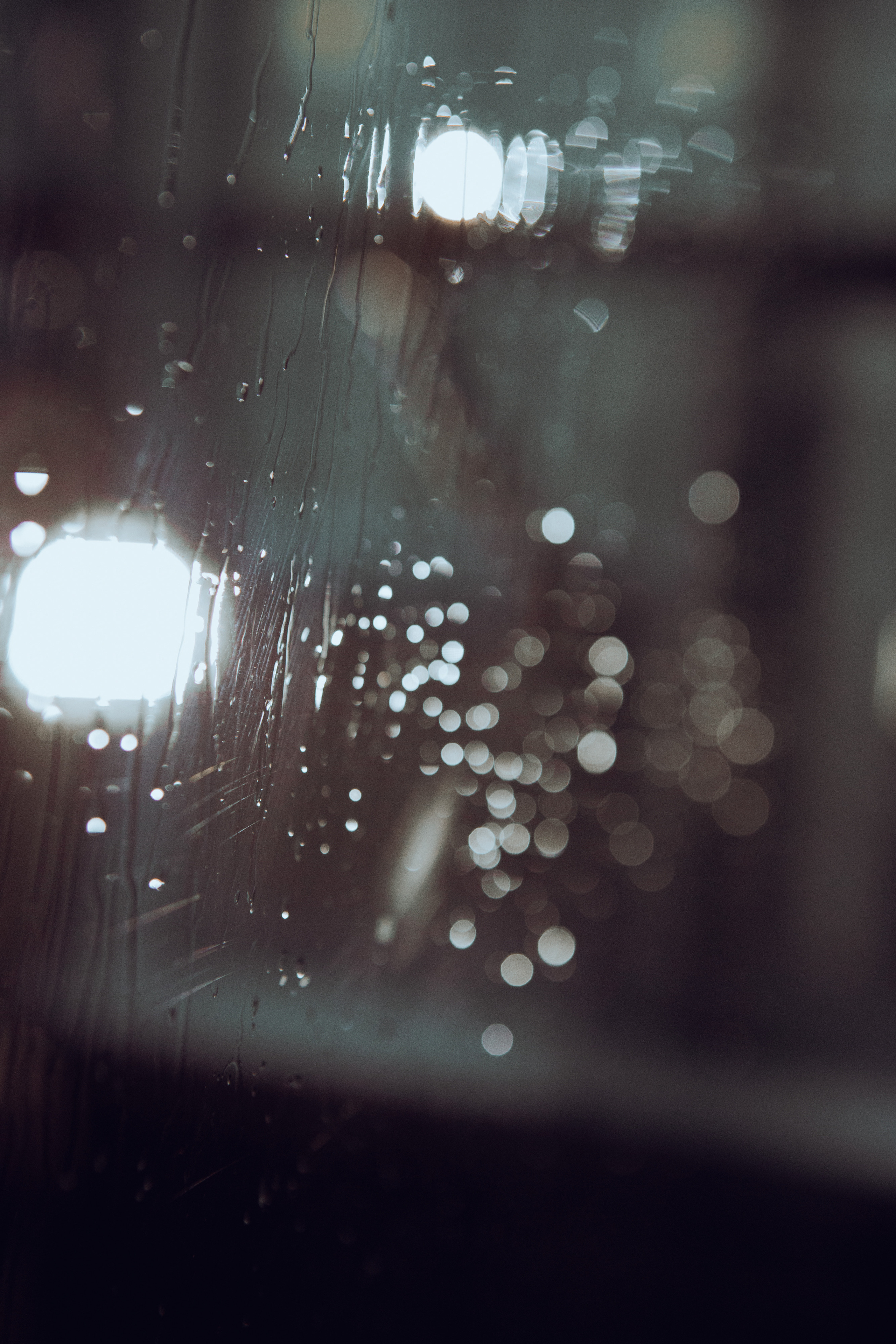 Артур (в цвете). Фотограф Наталия Федосова, г. Москва. TG и Instagram @nataliya_raw