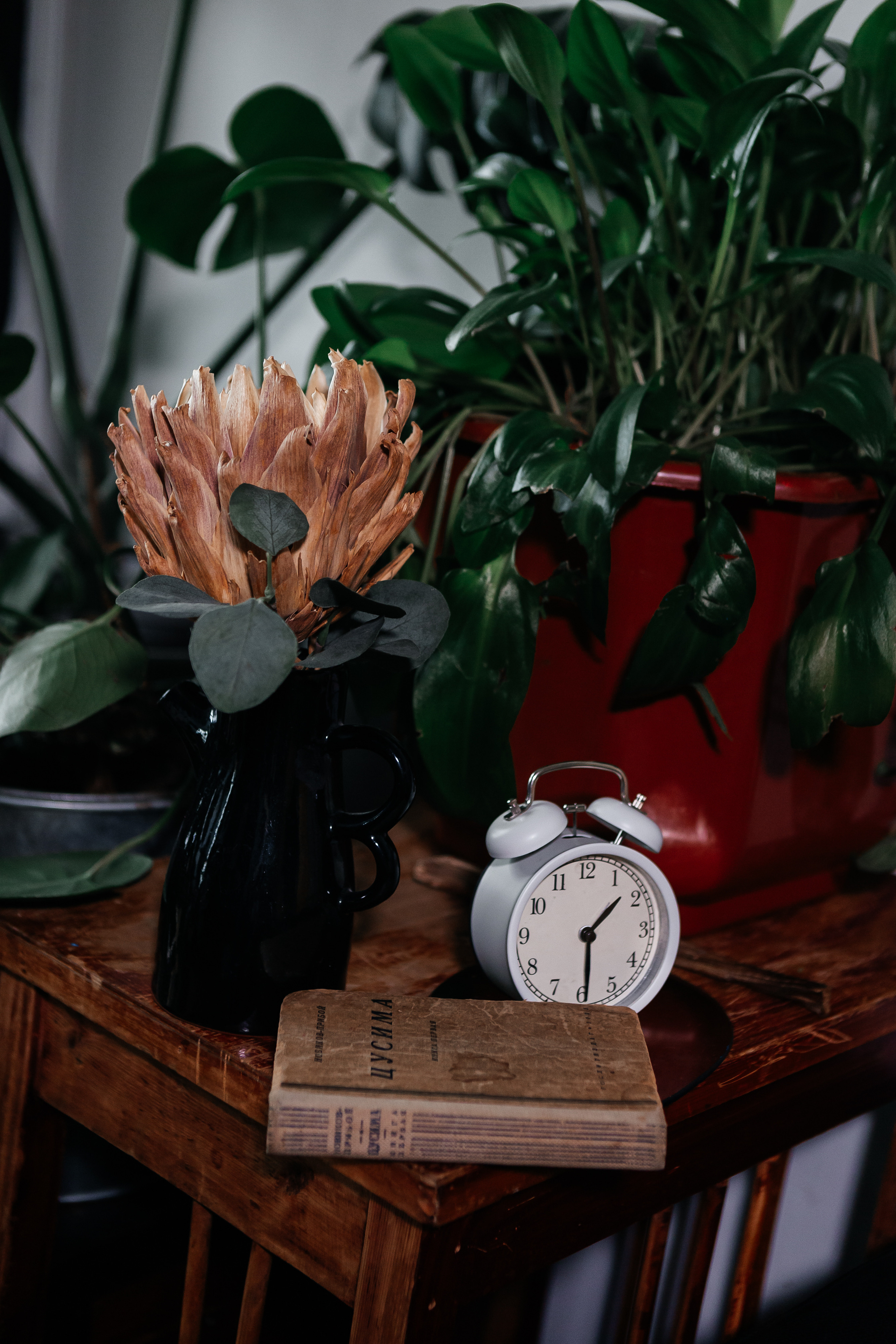 Елена. Фотограф Наталия Федосова, г. Москва. TG и Instagram @nataliya_raw