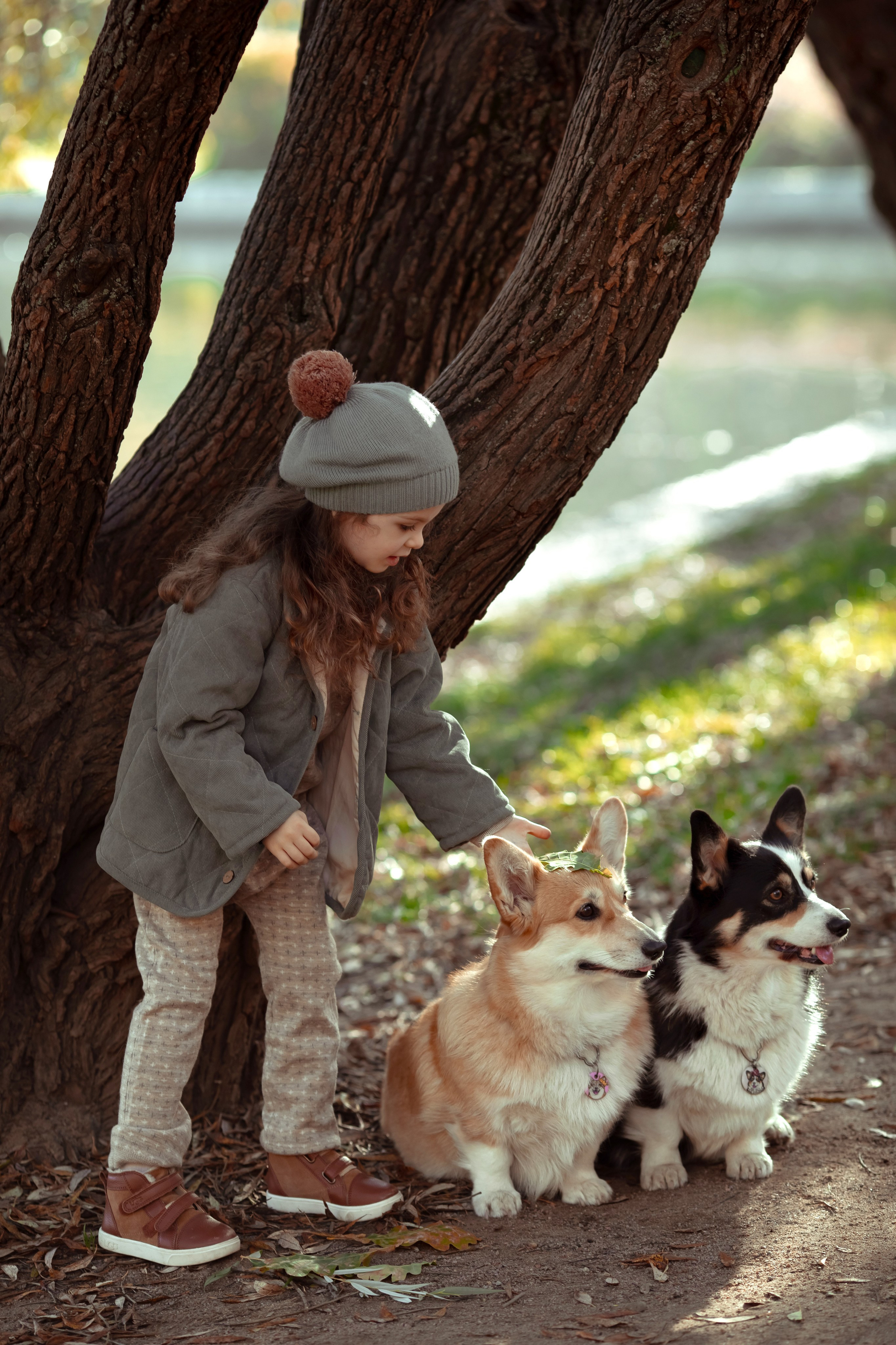 Эва с корги. Семейный и детский фотограф в Москве Дорогова Екатерина