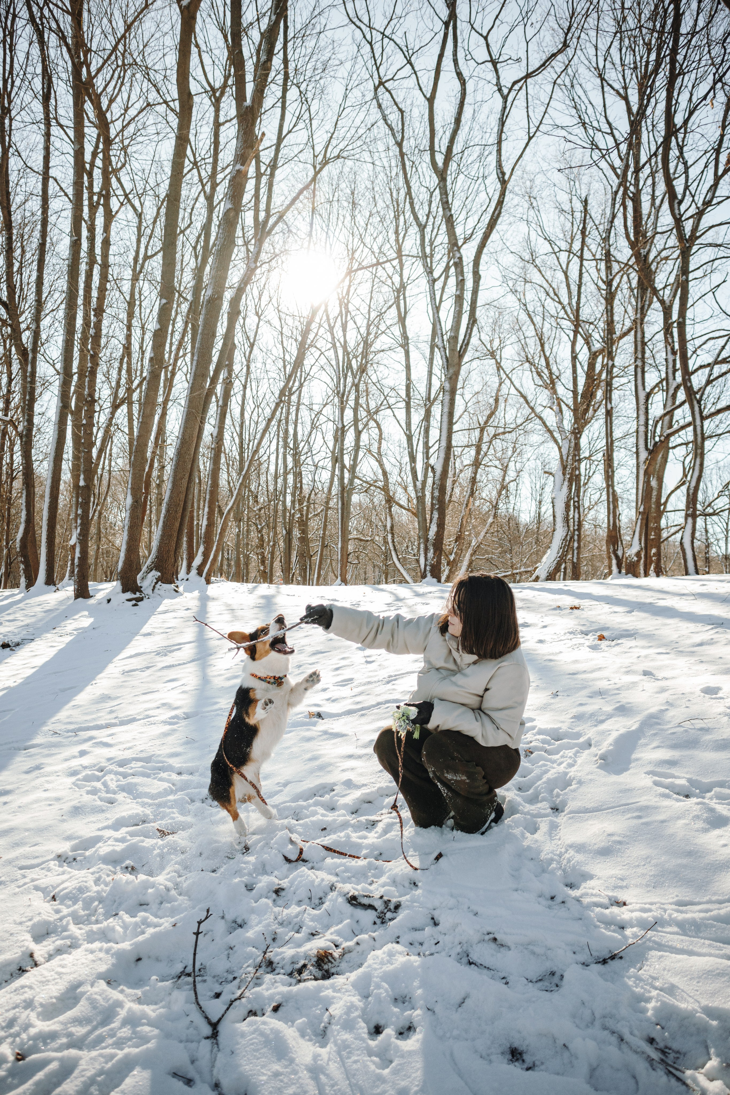 Катя и Дора. Фотограф-анималист в Санкт-Петербурге
