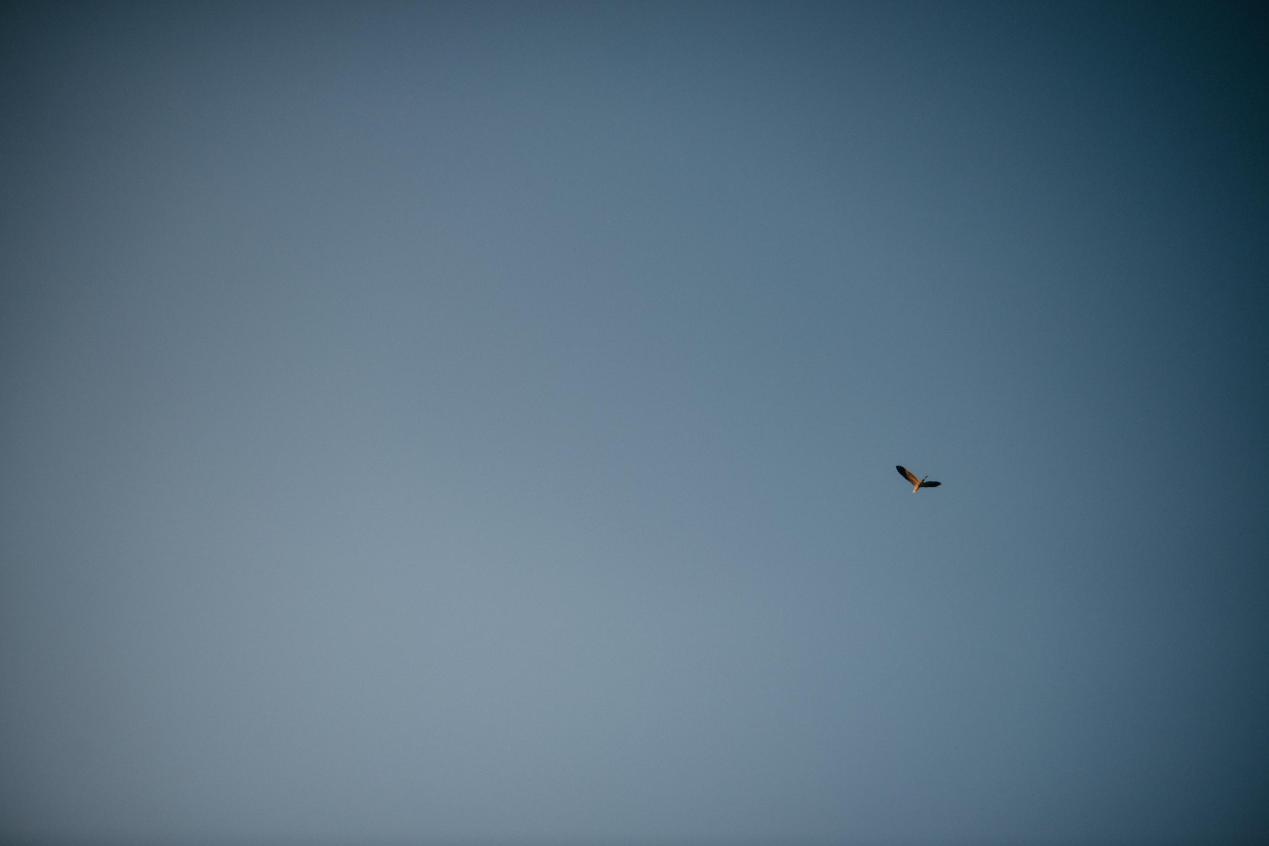 Семейная в Докше. Свадебный фотограф Ижевск Петр Шишков